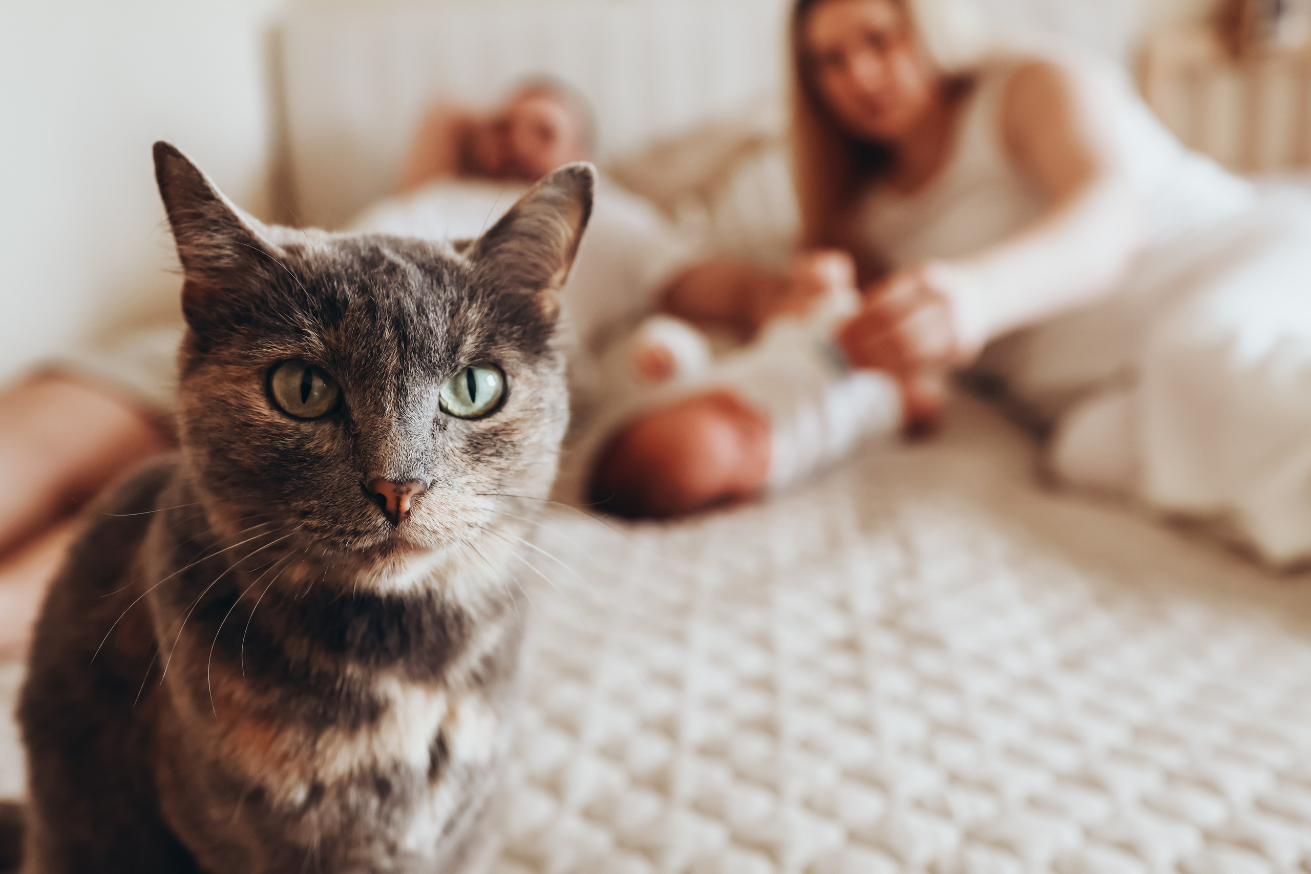 Домашняя семейная фотосессия с новорожденным. Фотограф в Екатеринбурге Пойгина Елена