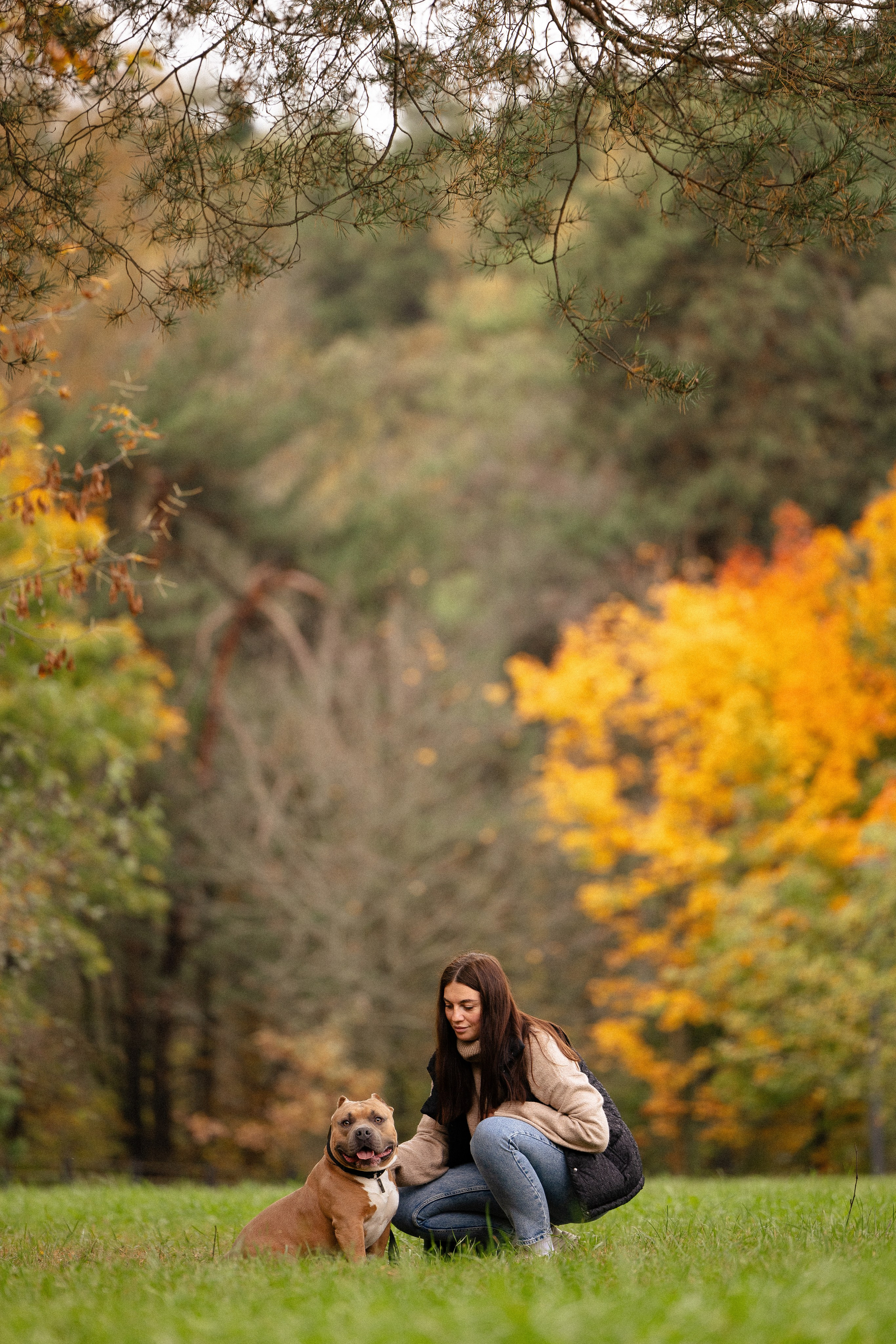 Алена и Тор. Фотограф и видеограф анималист Аганина Дарья