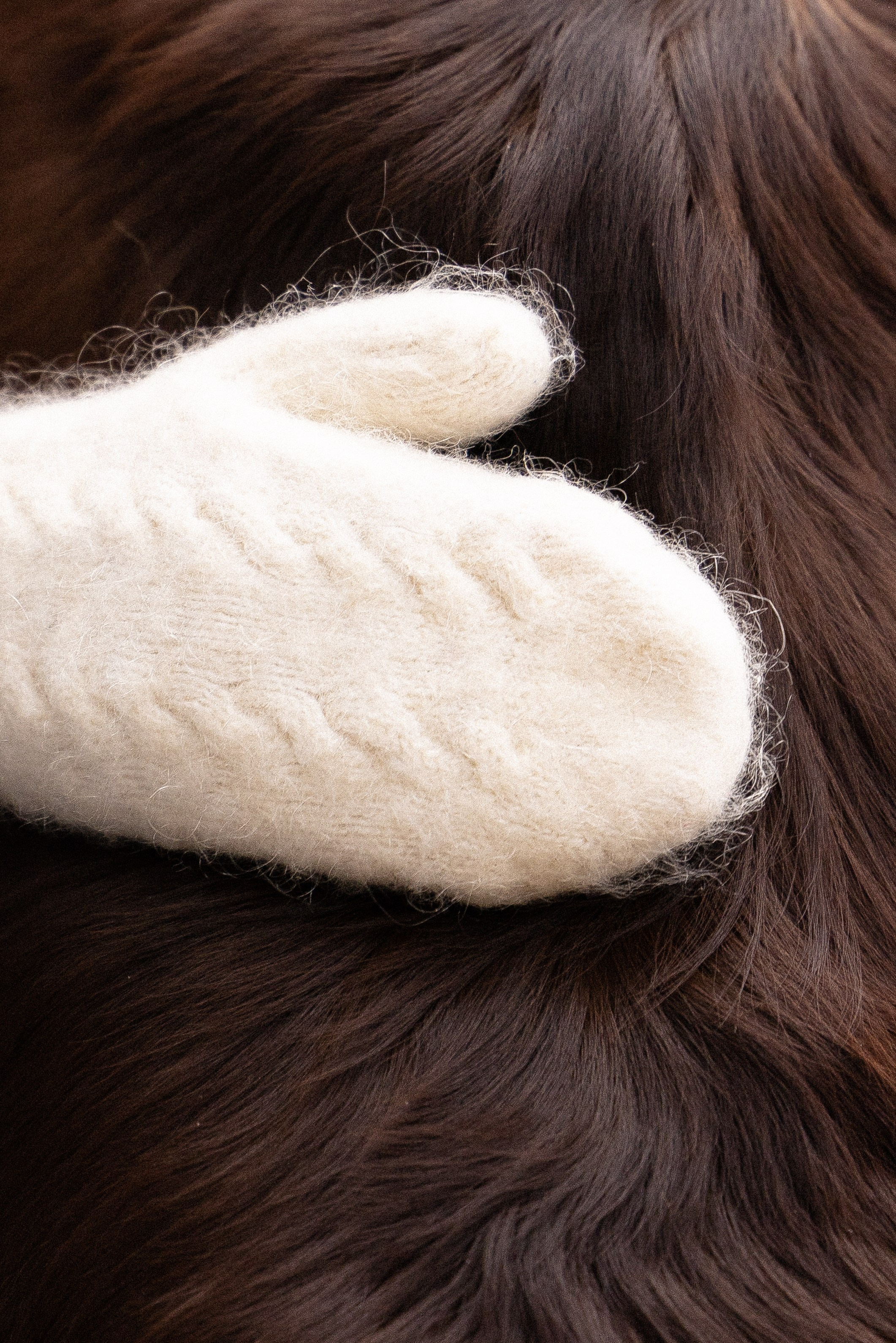 Катя и Мёд. Фотограф и видеограф анималист Аганина Дарья