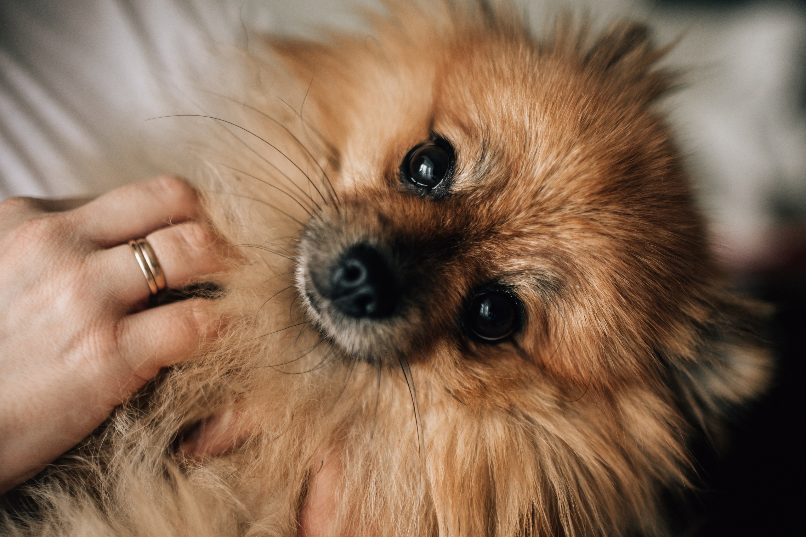 Женя и ее семья. Семейный фотограф в Москве и Подмосковье Иванова Нина