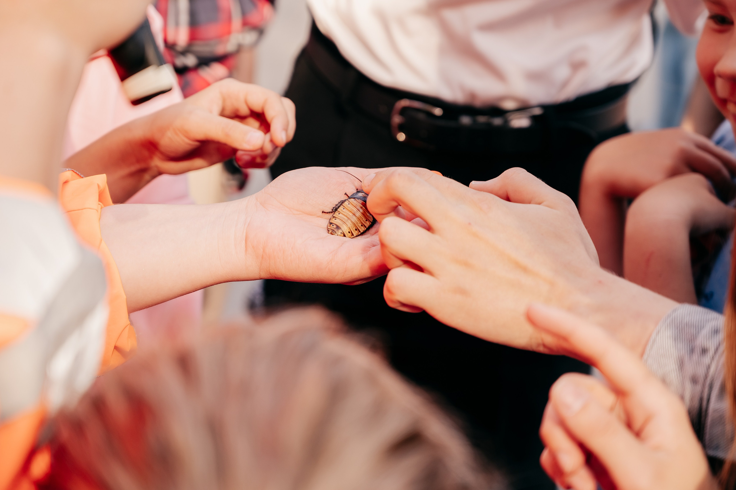 День Шахтёра в Парке Чудес 30.08.2025. Детский фотограф, семейный фотограф и репортажи в Кемерово