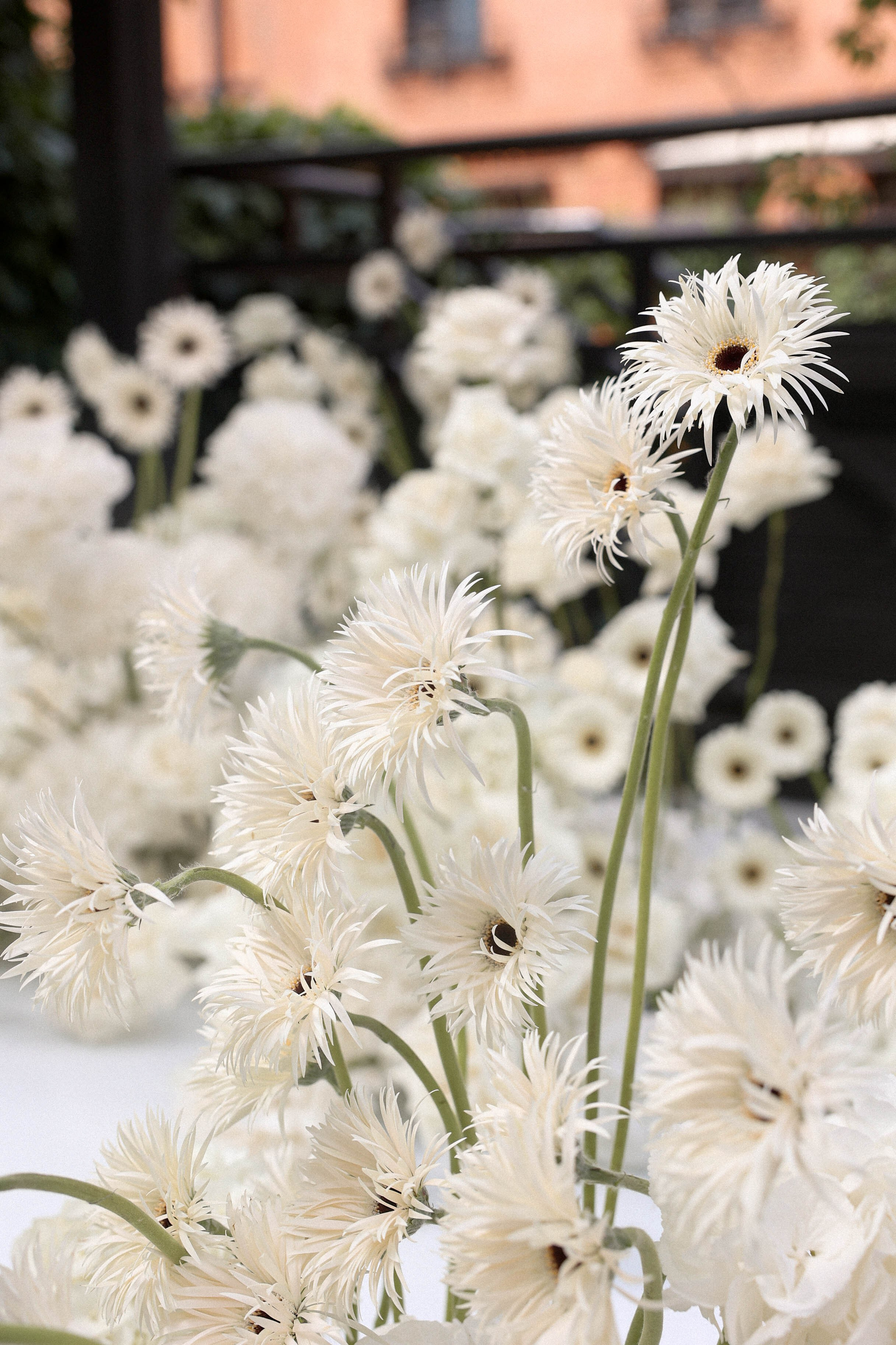 Свадьба Эльчин и Ксюша. Свадебный, репортажный, фотограф Москва и Московская область