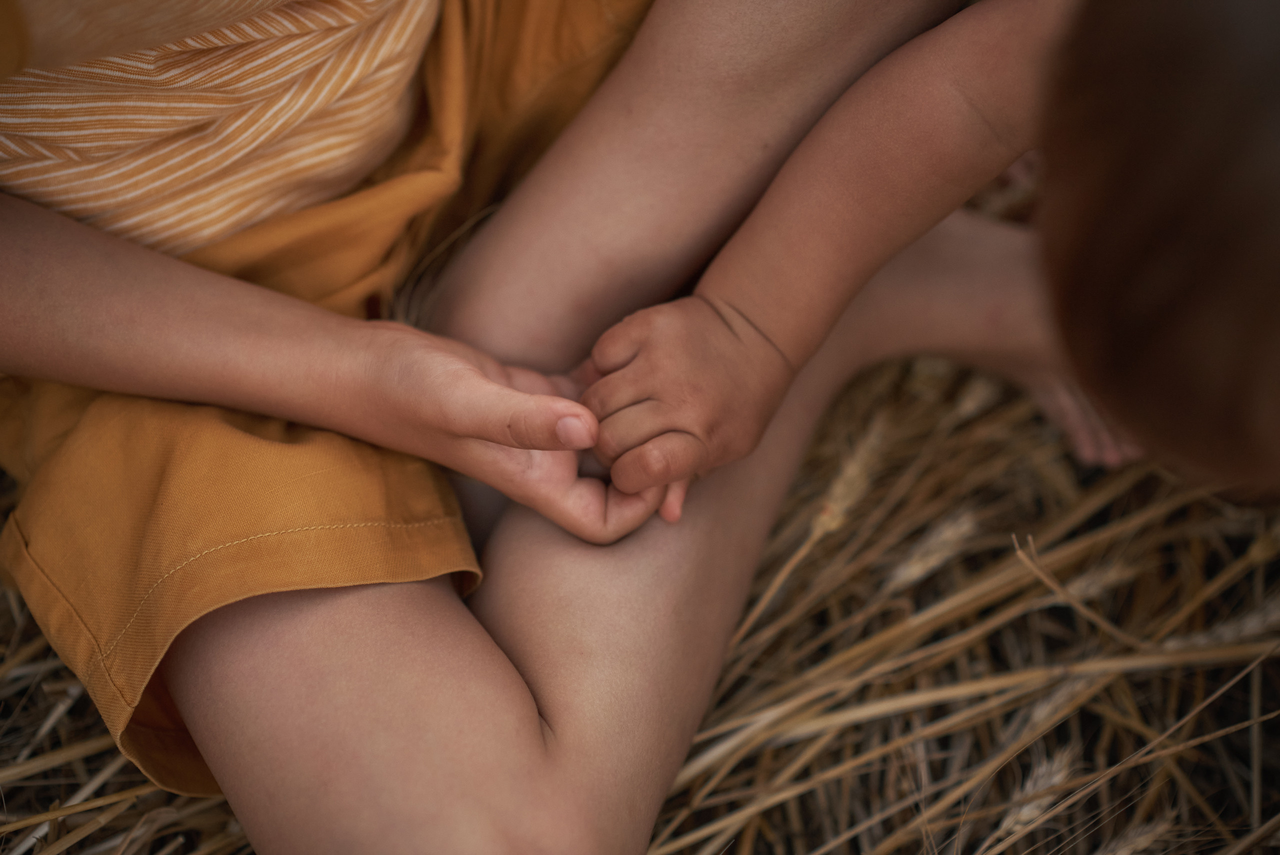 Семейная съемка. Семейный фотограф в Ростове-на-Дону Татьяна Литвинова