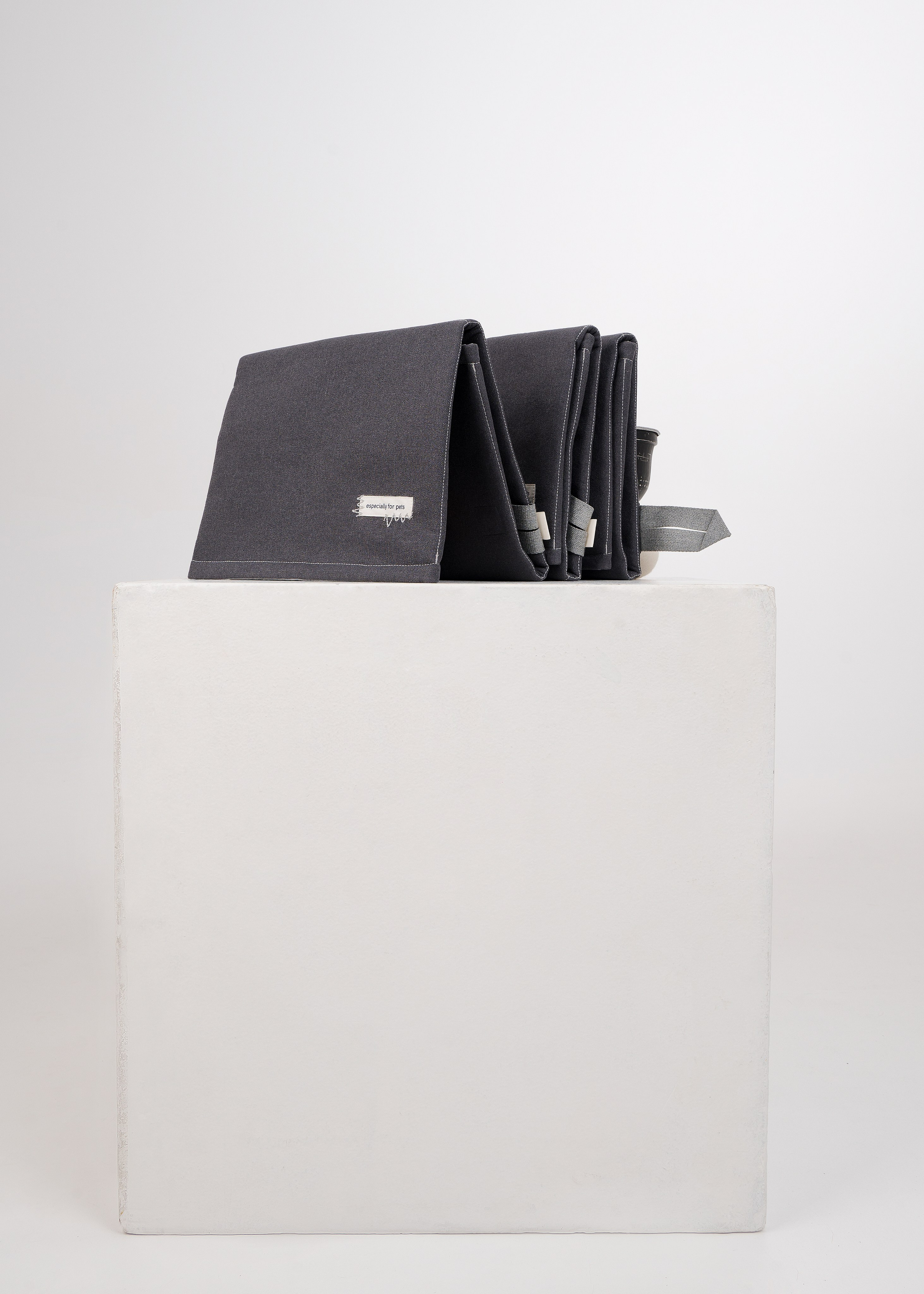 Bow-Wow. Фотограф- анималист Александра Матвеева