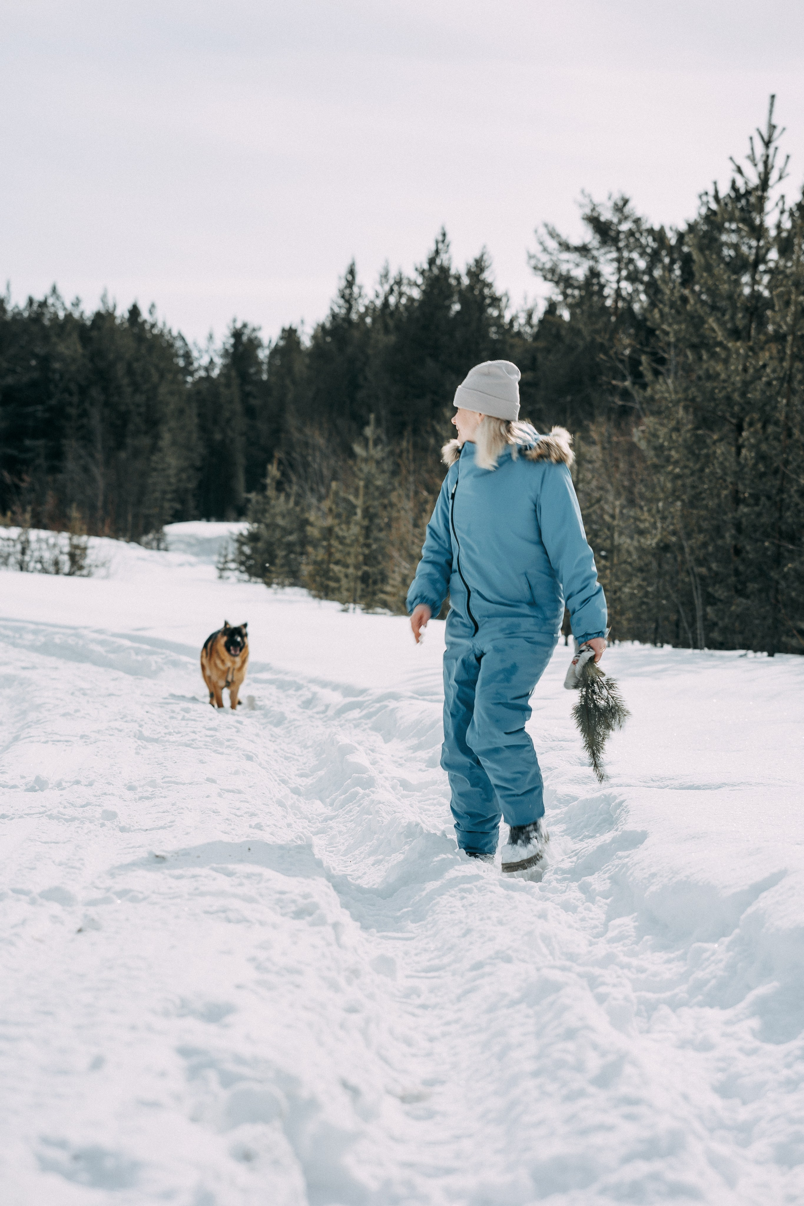 Зимняя фотосессия Анастасия и Евгений и их пёс по кличкеГранд. Артём Печерин фотограф в Оленегорске