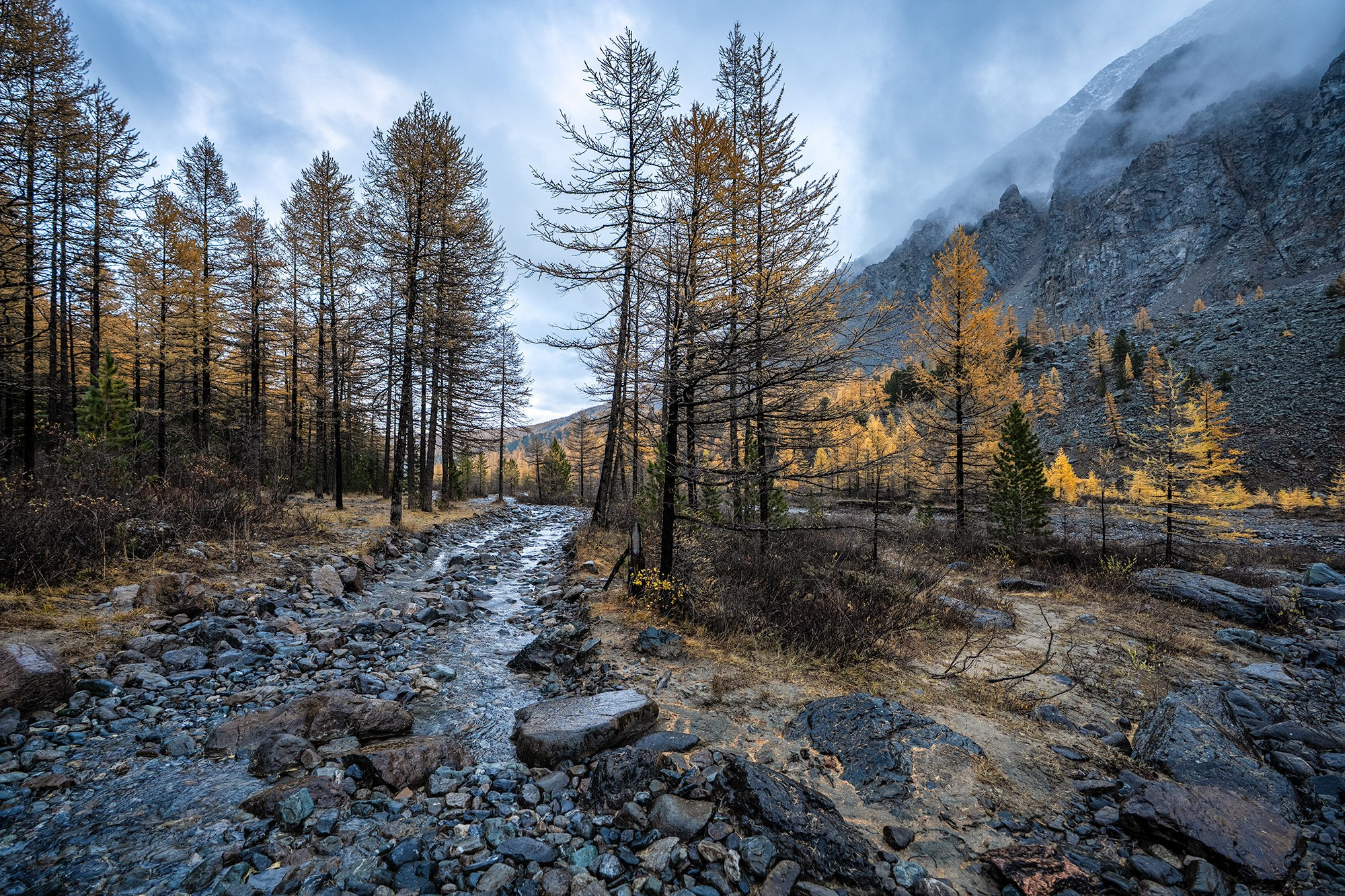 Roads we travel. Photographer Vladimir Ostapenko