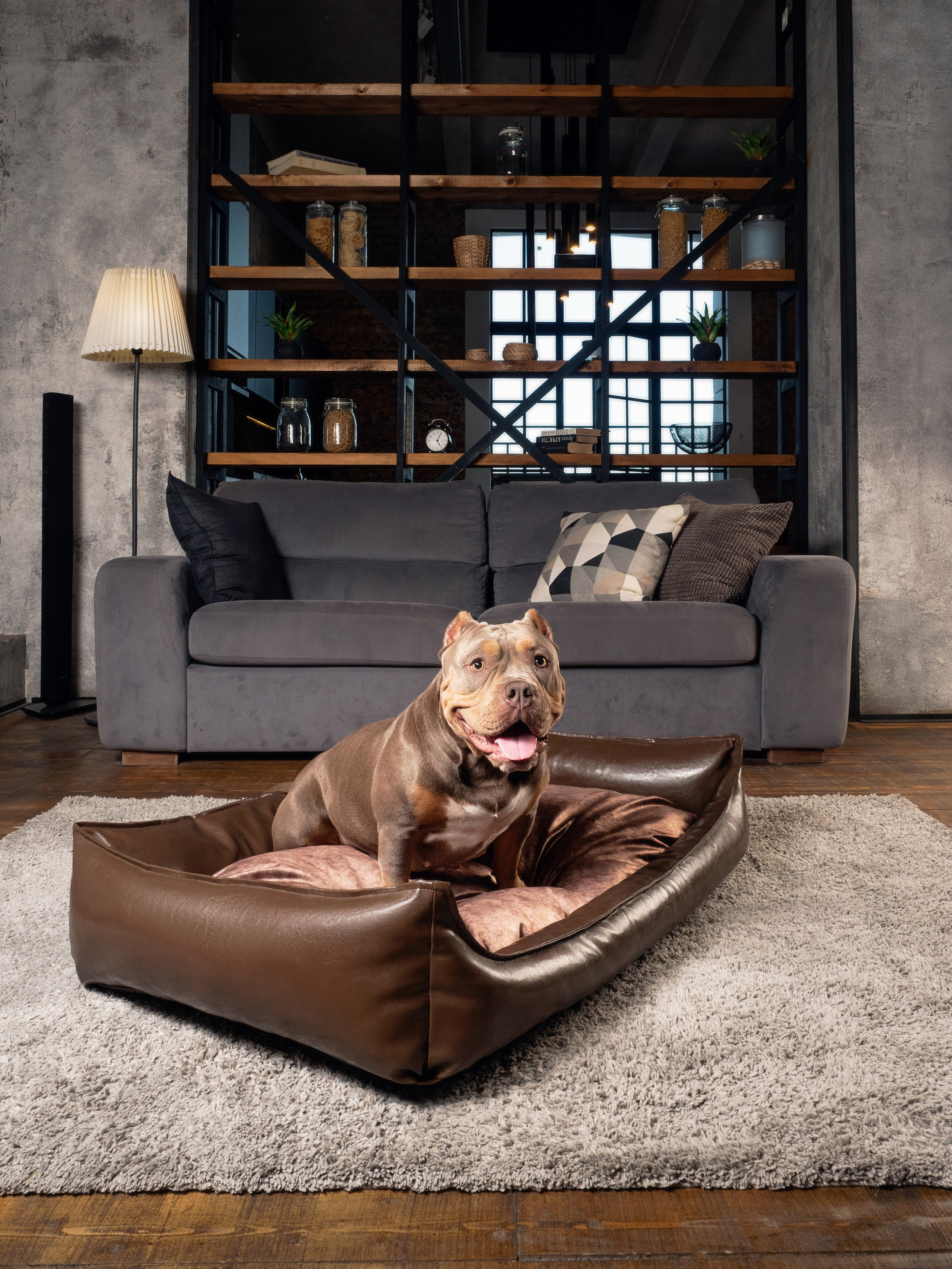 Рекламная съёмка. Фотограф животных и людей в Санкт-Петербурге Дарья Быстрицкая