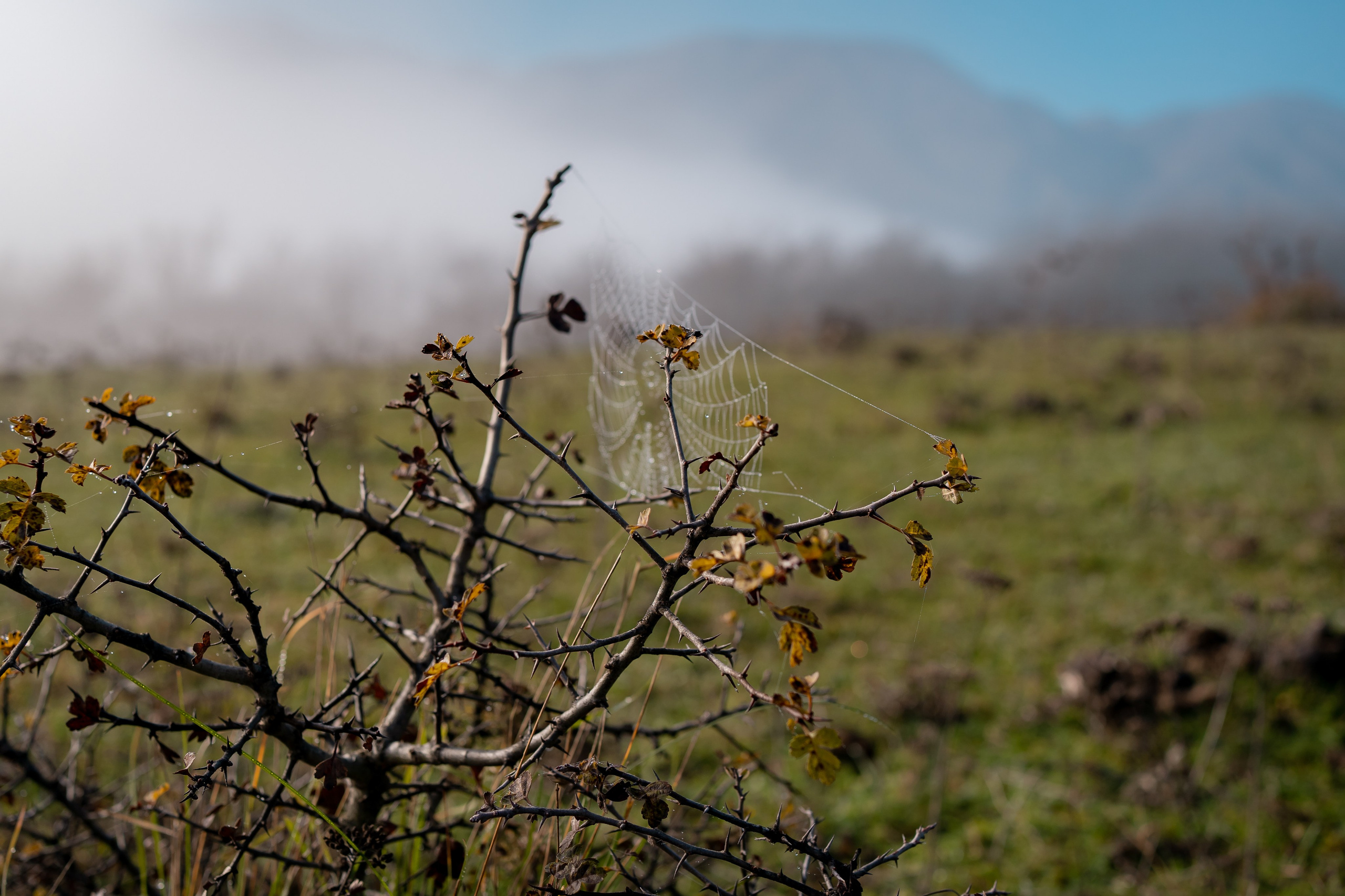 Дагестан. Семейный фотограф Варвара Сорока в городе Москве