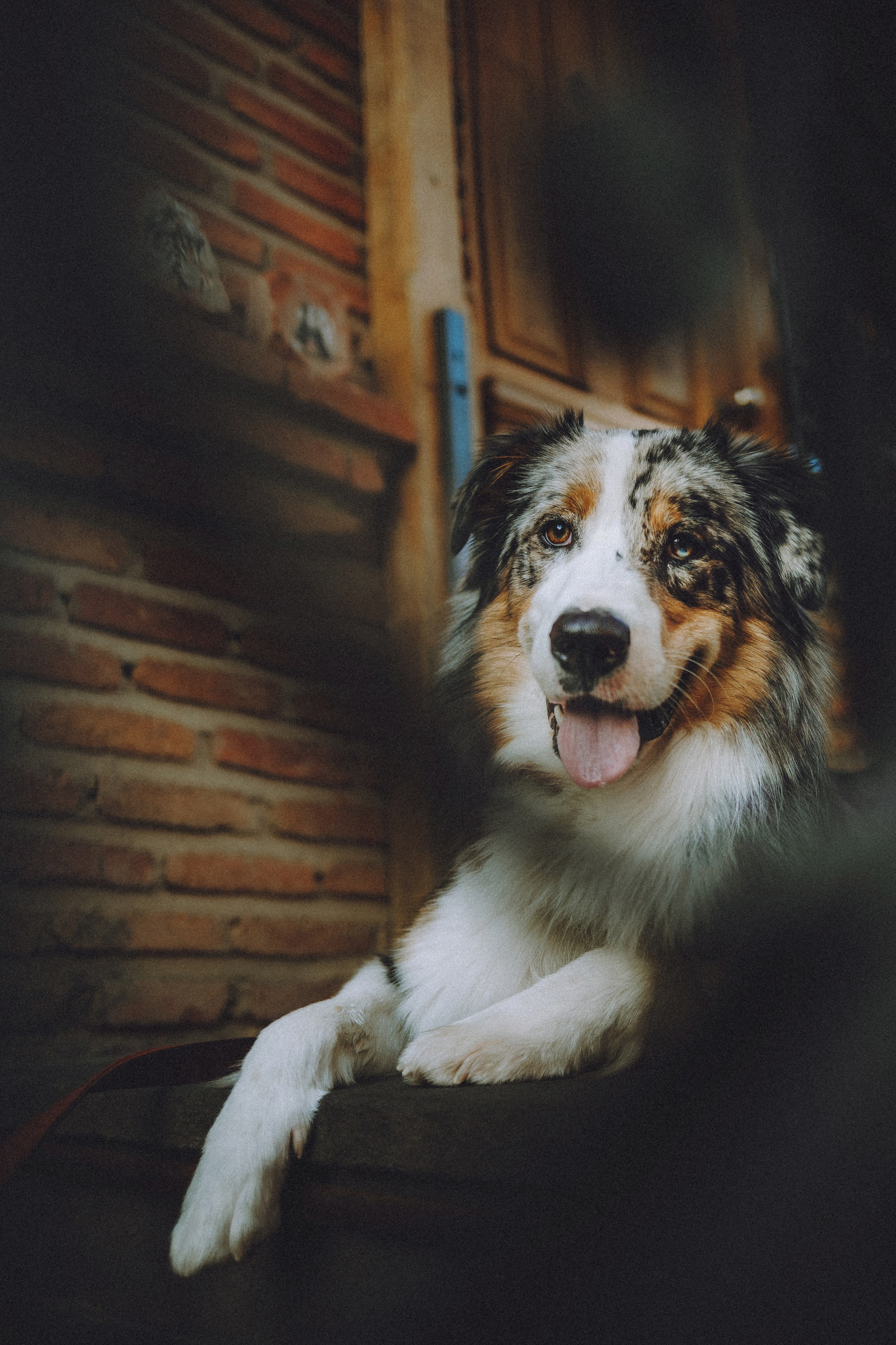 Саша, Рома и Один