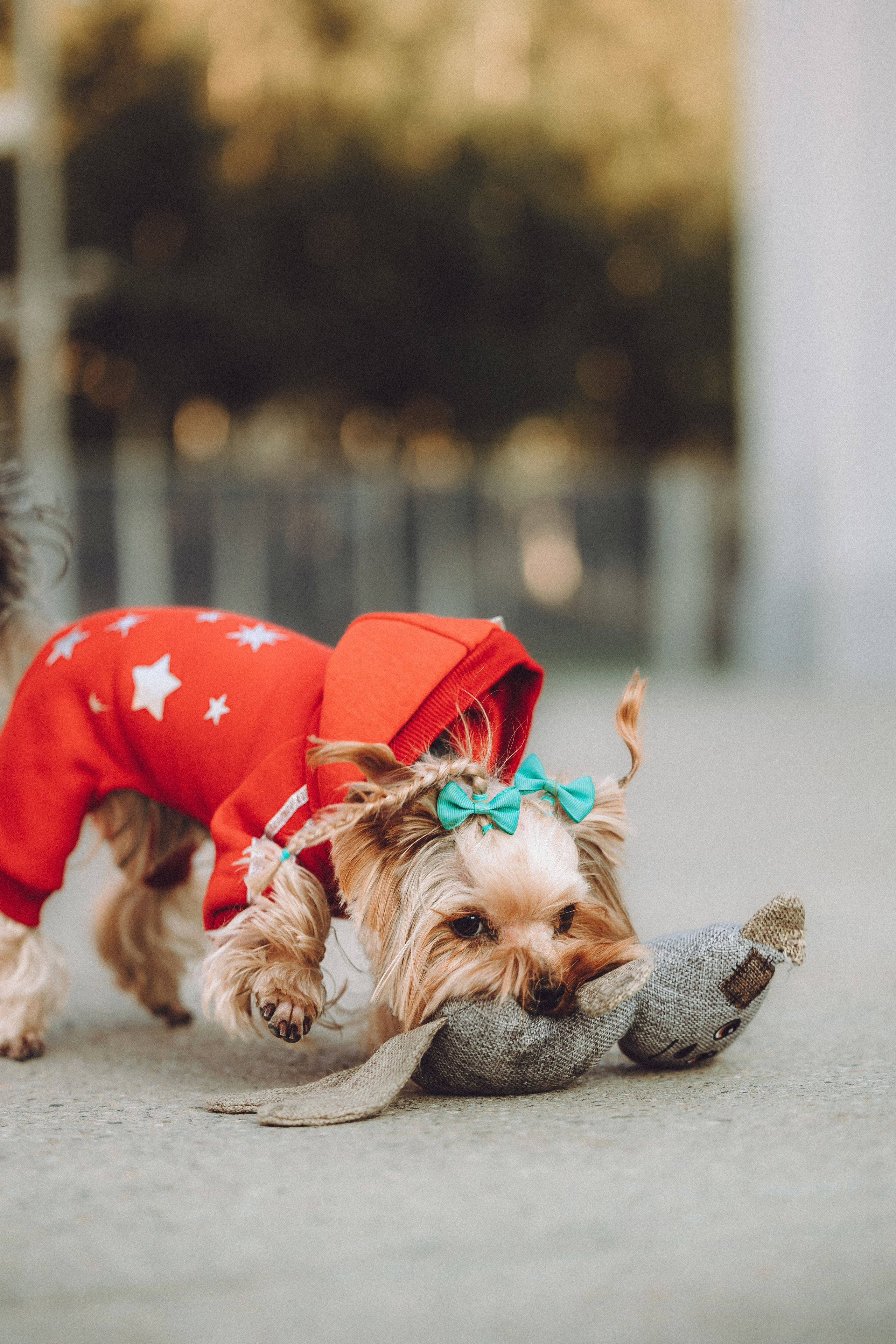 Дженни, Оливия и их семья