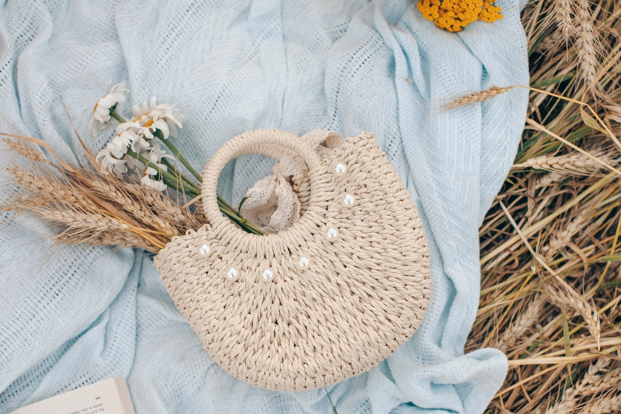 Семейная фотосессия в поле на закате. Фотограф Ольга Ефремова