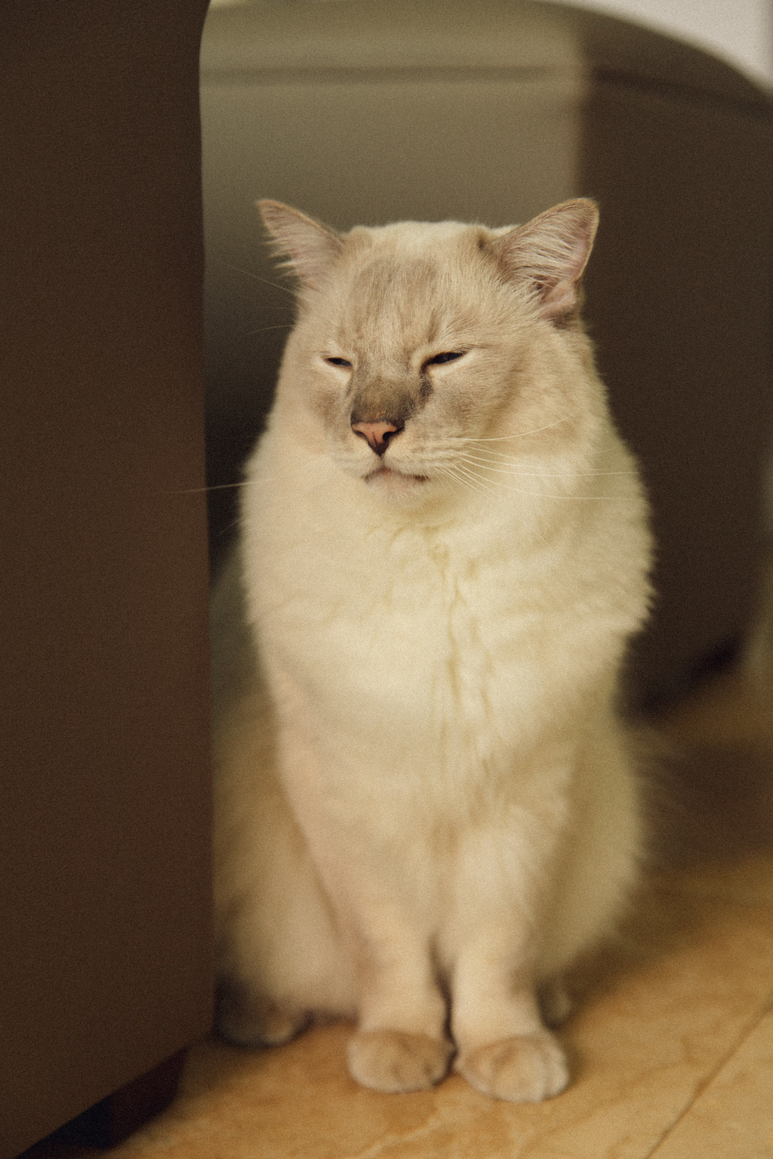 Briana+Fran. Портретный фотограф / Панама / Анастасия Елизарова