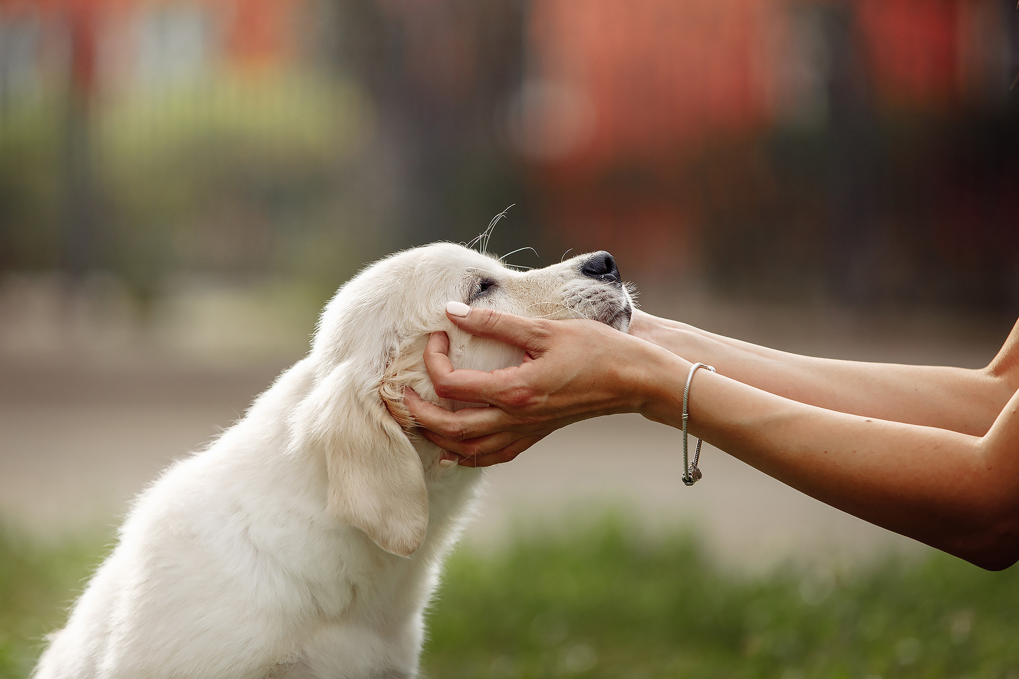 BABY TIME. Фотограф-анималист Саша Вязьмина