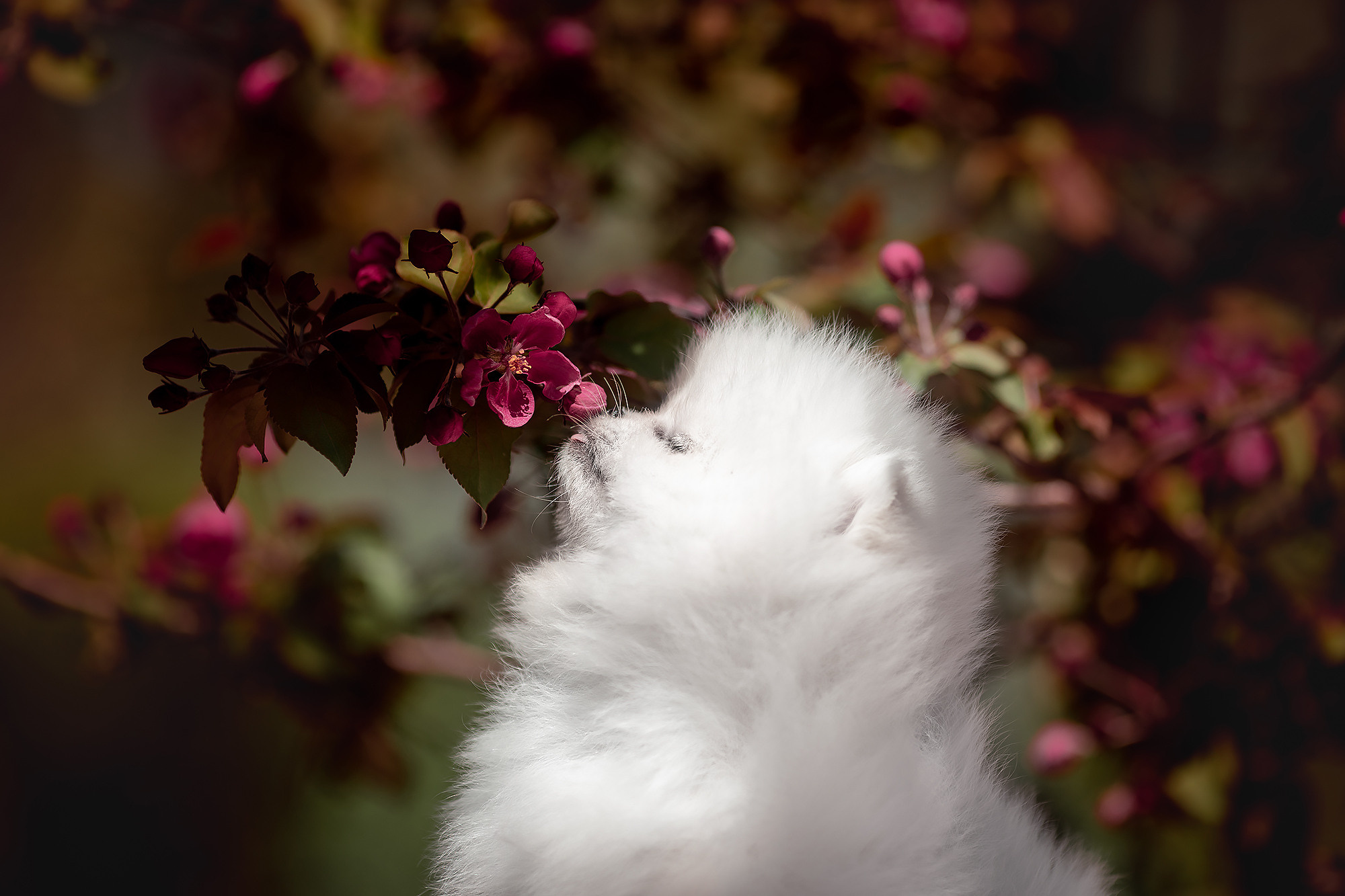 BABY TIME. Фотограф-анималист Саша Вязьмина