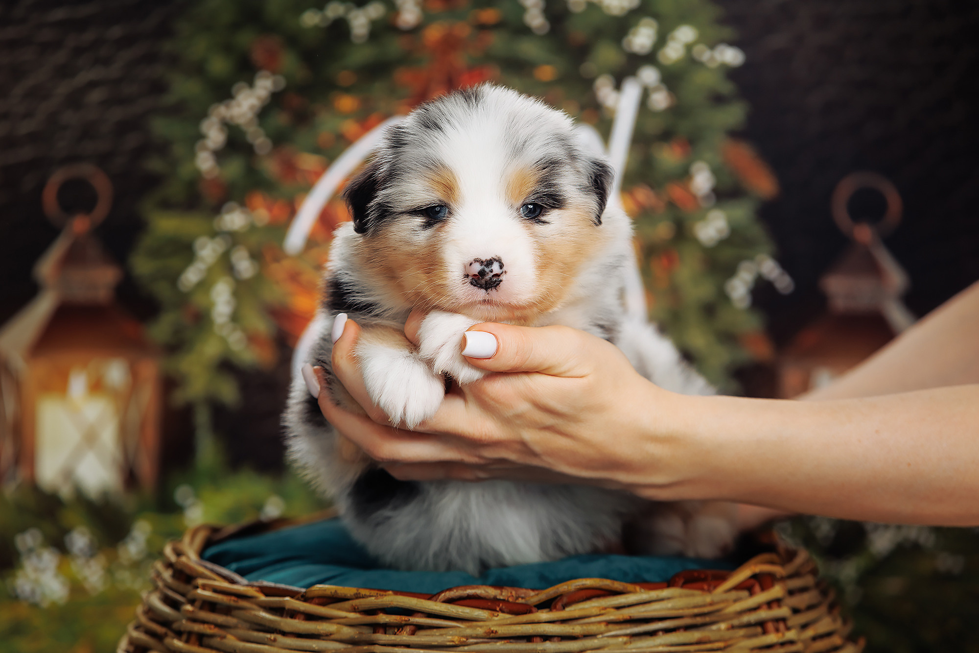 BABY TIME. Фотограф-анималист Саша Вязьмина