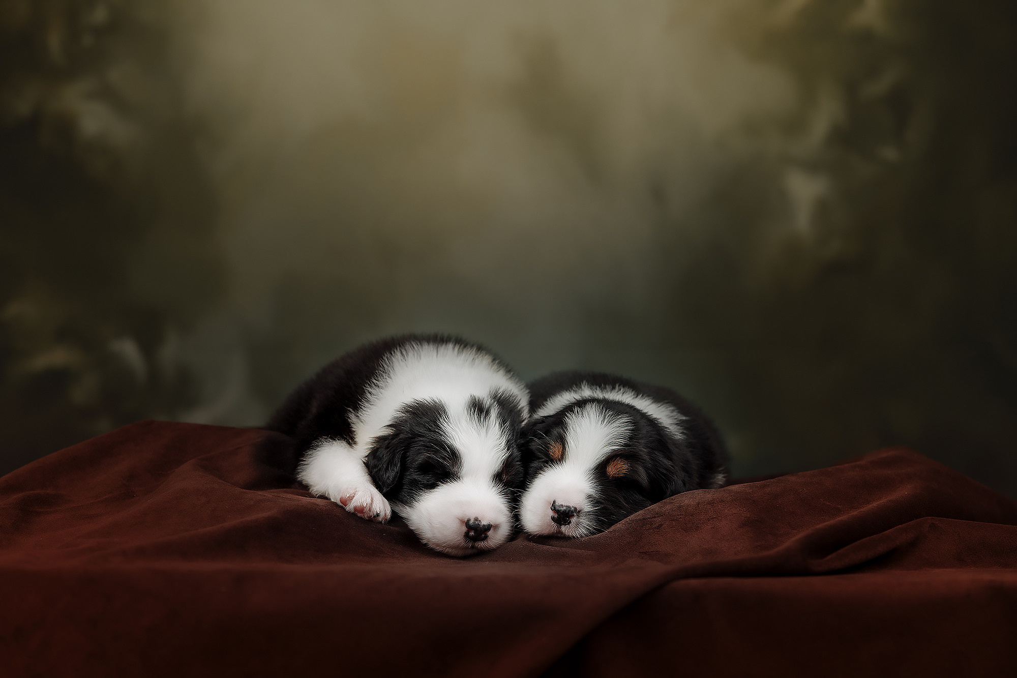 BABY TIME. Фотограф-анималист Саша Вязьмина