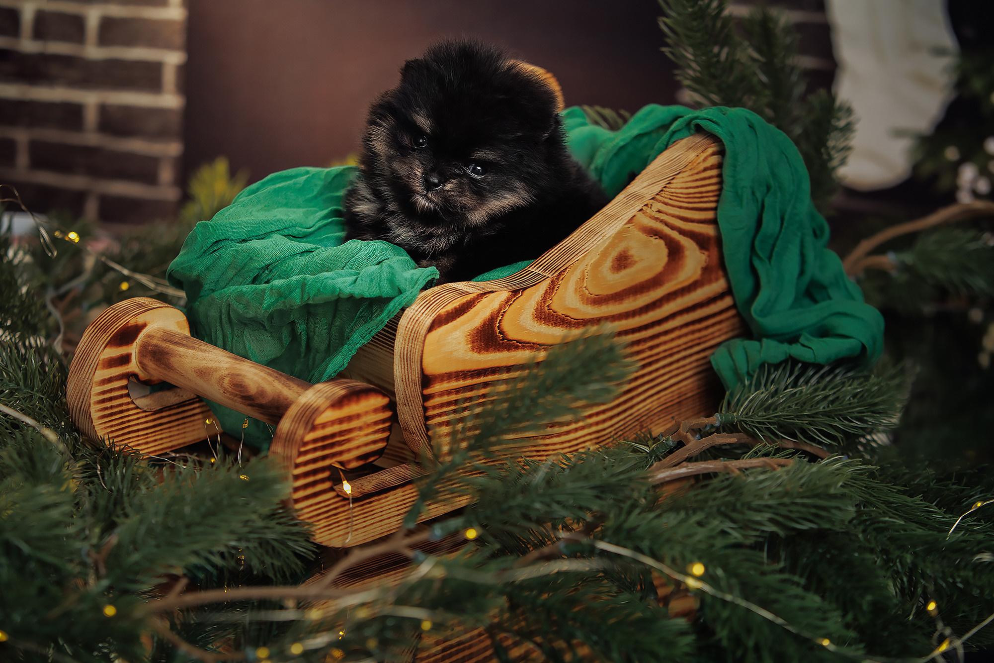 BABY TIME. Фотограф-анималист Саша Вязьмина