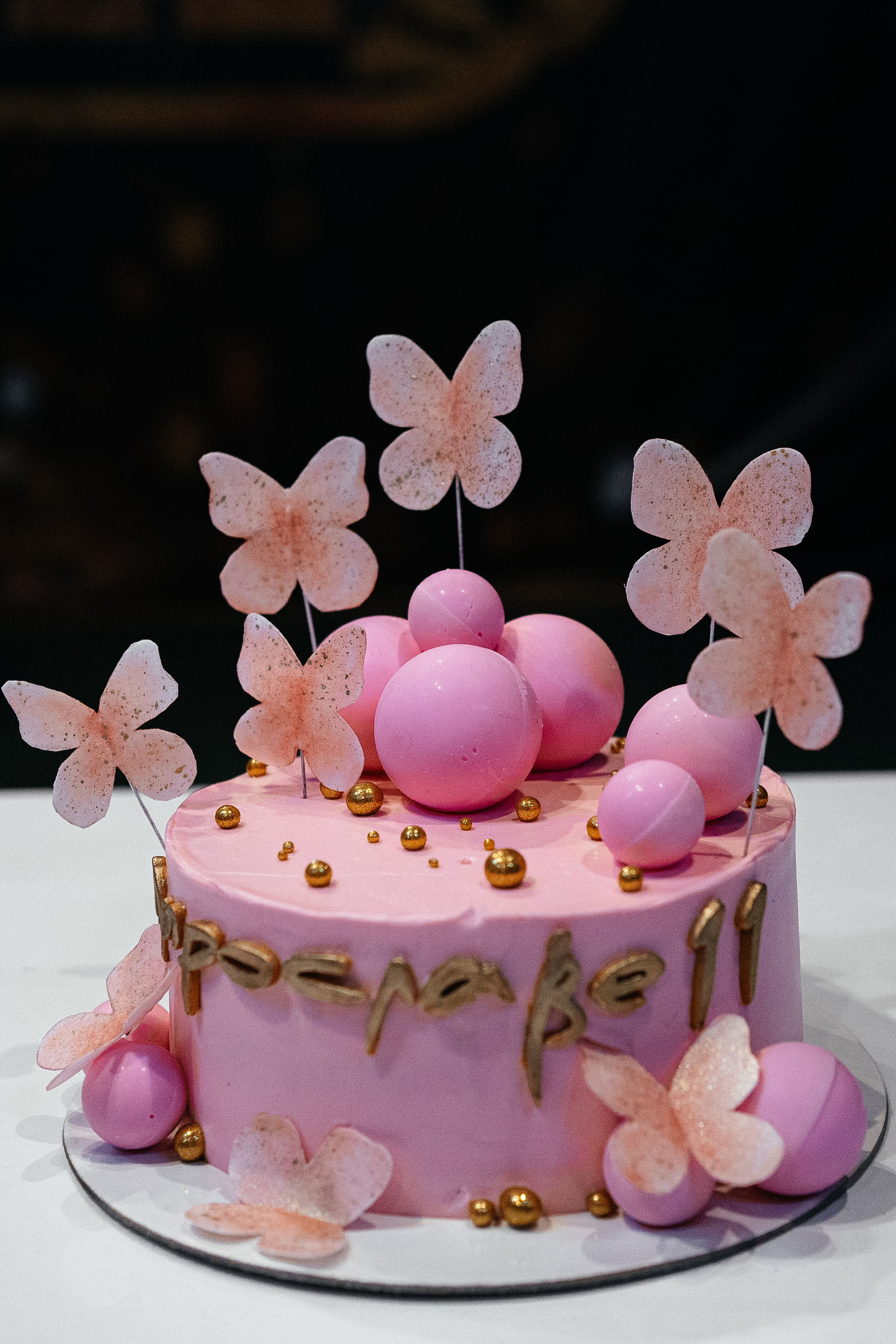 День Рождения дочки Елены Башкирцевой. Главная