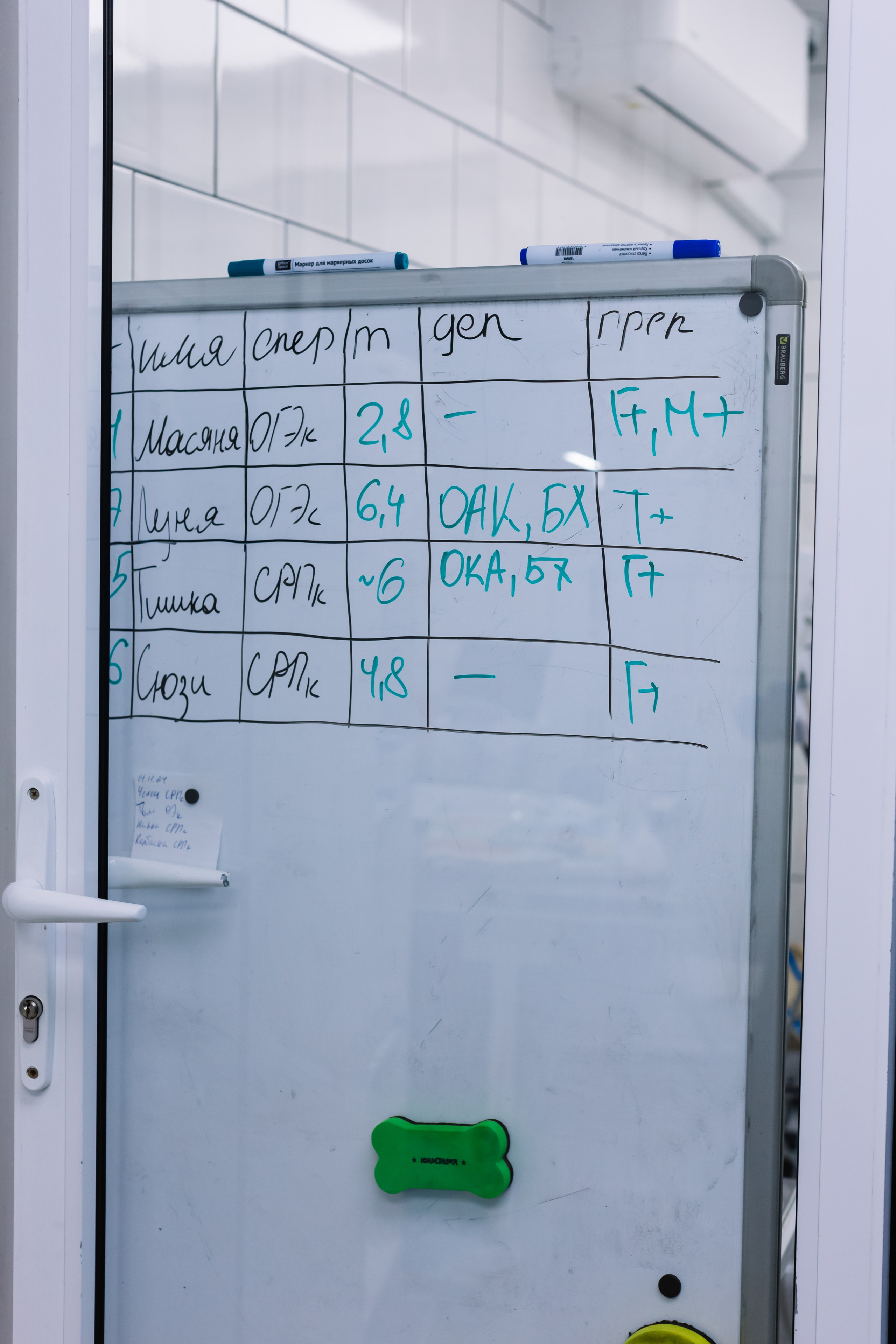 алёна малахова фотограф новосибирск семейный детский домашняя фотосессия в новосибирске день рождения репортажная съёмка фотосессия с лошадьми на конюшне деревня алтай  на природе фотосессия в детском саду мама и сын предложение руки и сердца идея  помолвка фотосессия берег закат детский день рождения годик торт аниматор лофт игровая продолжение следует prodoljenie_sleduet_  корпоратив тимбилдинг первоклашка линейка  контент  бизнес портрет оперный новат франция берет весна девушка