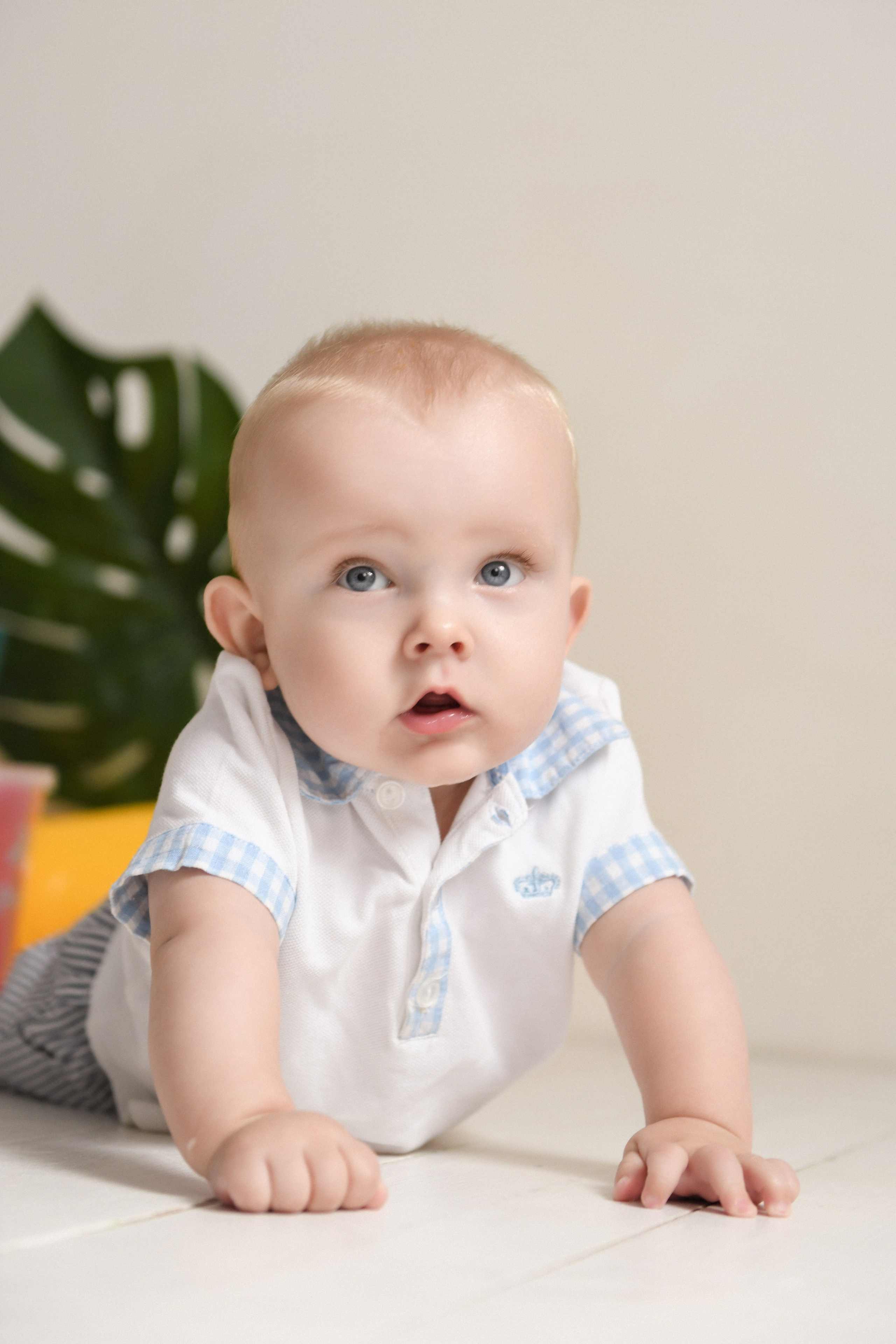 3-6 месяцев. Фотограф новорожденных, беременных и детей до года Татьяна Николаева В