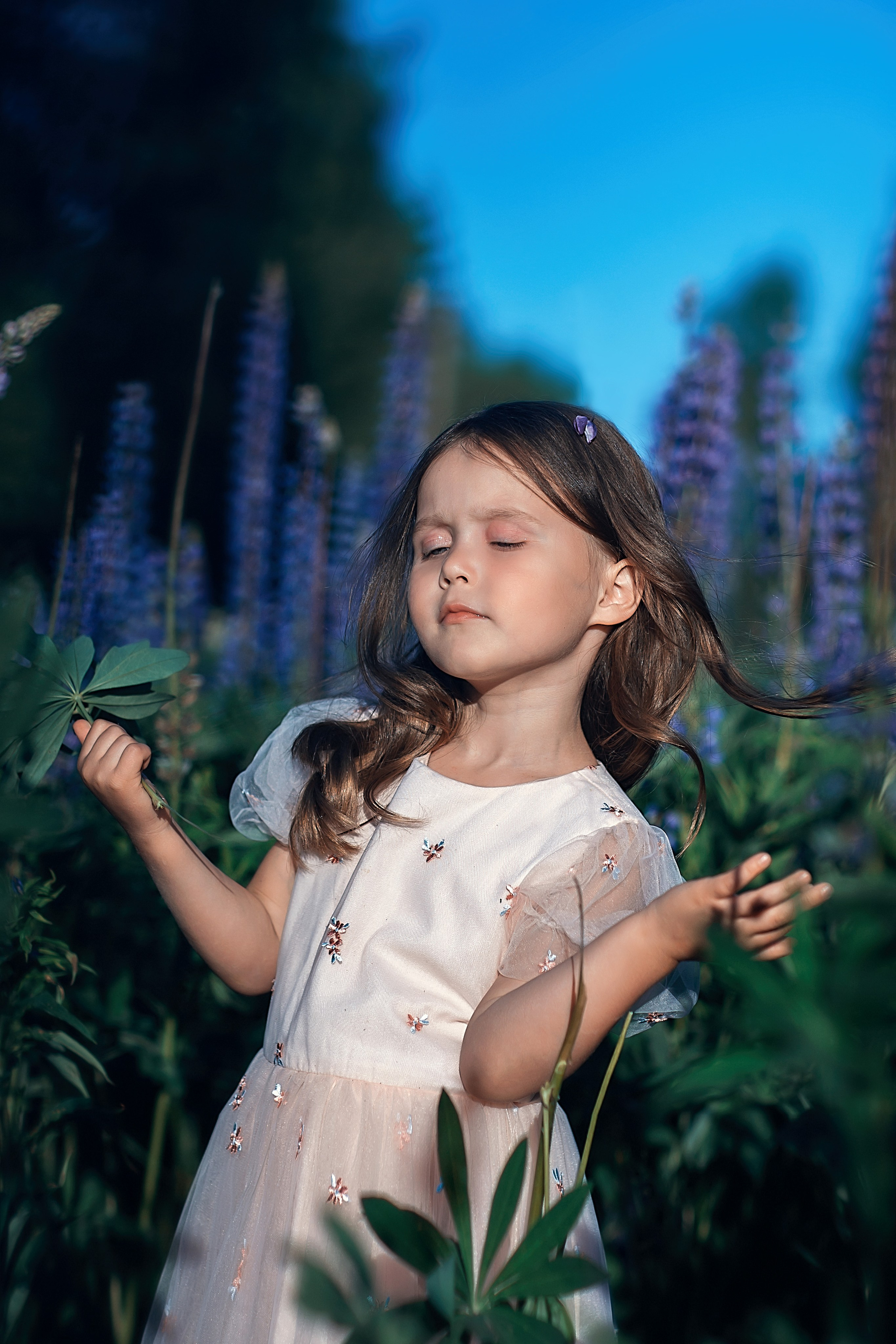 Люпины_Псковская область. Семейный фотограф в Санкт-Петербурге