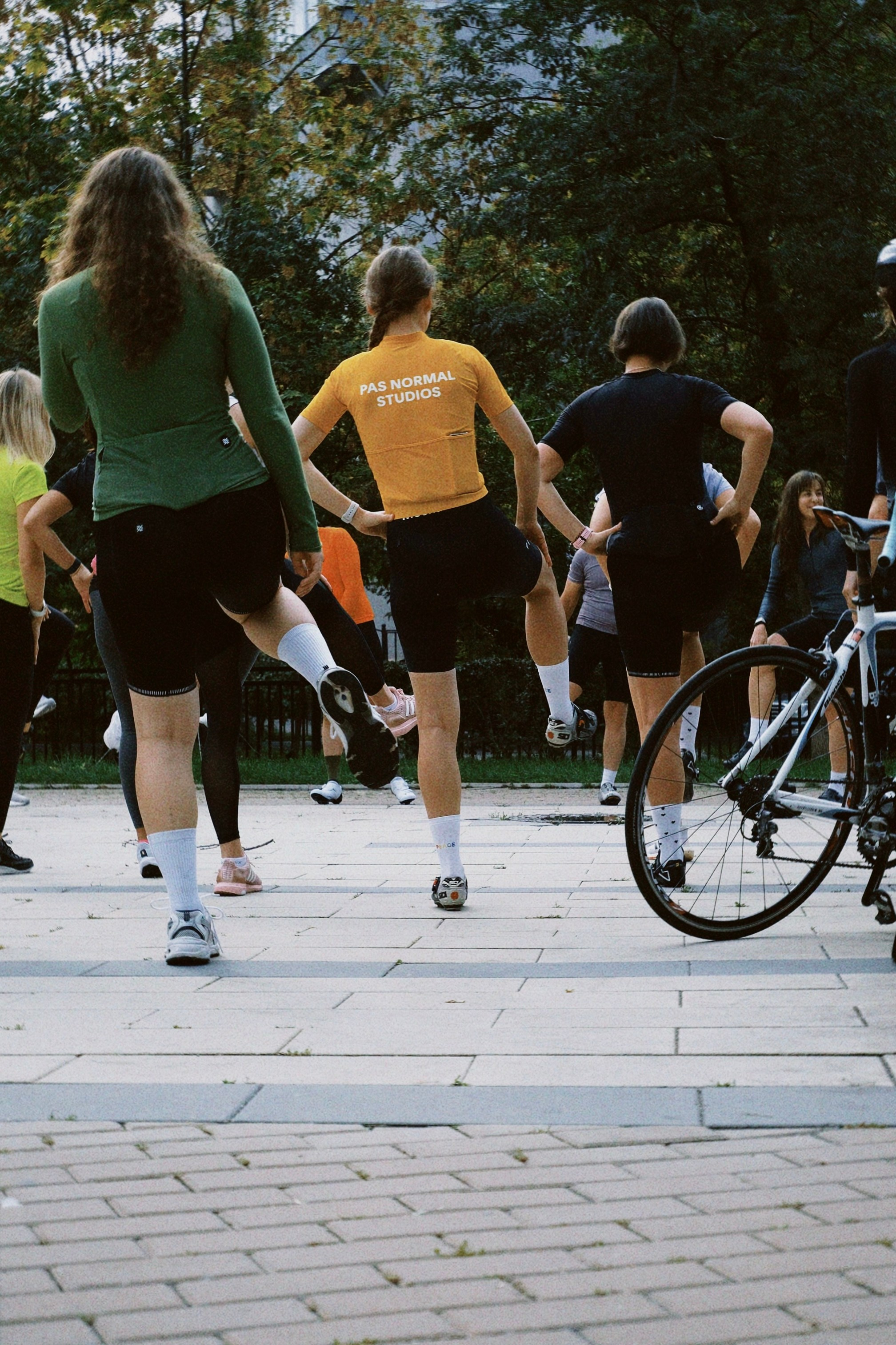 Lim/cc. Татьян гертье