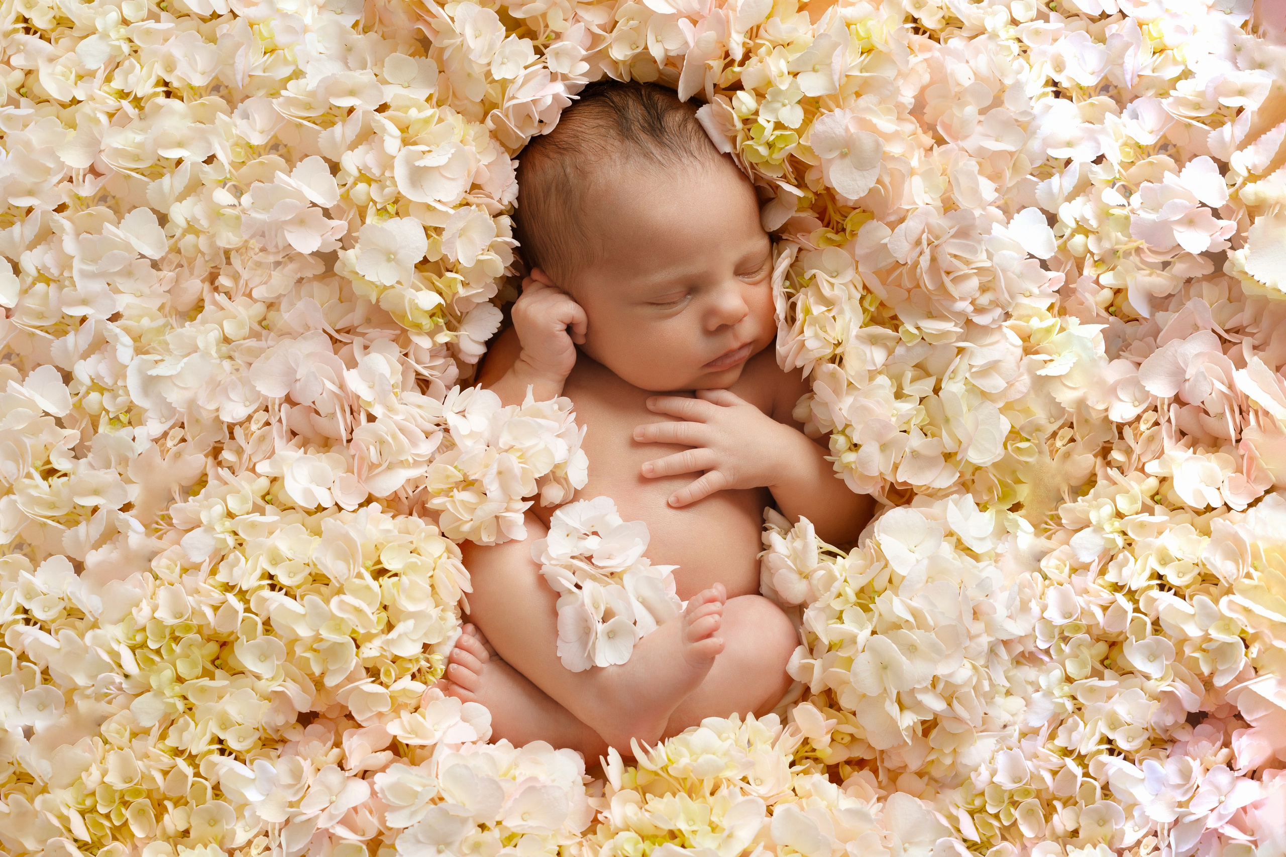 PH @newborn_flower. Retoucher Aleksmokh