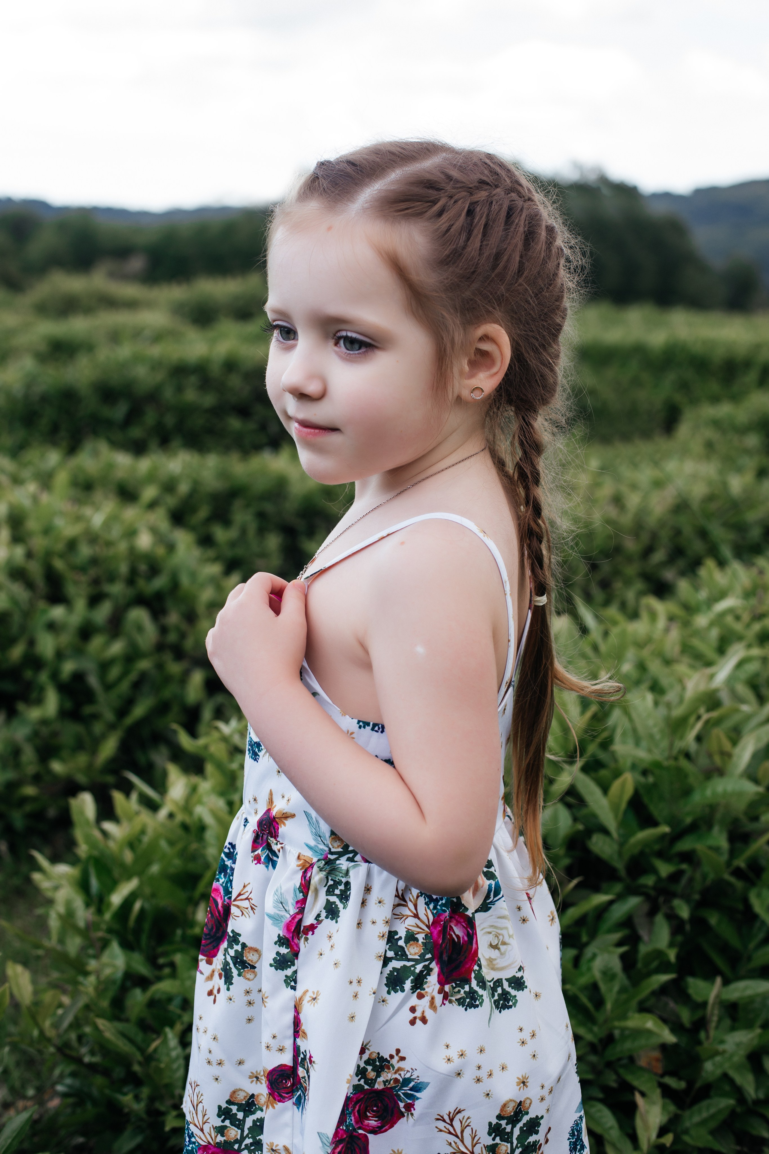 Tea plantation. Efimova Model Agency