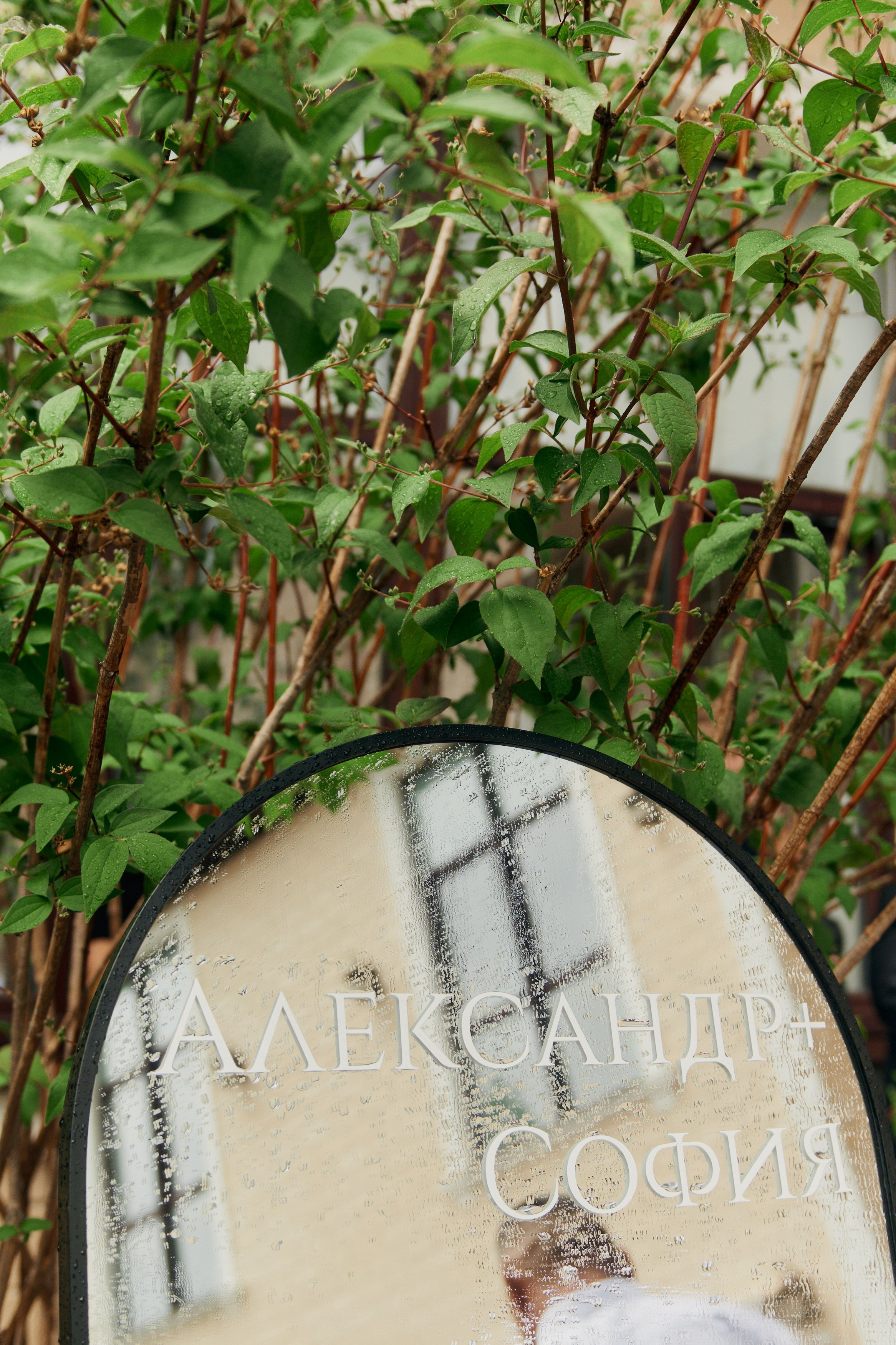 АЛЕКСАНДР И СОФИЯ 26|04|25. Свадебное агентство Ива-ивент