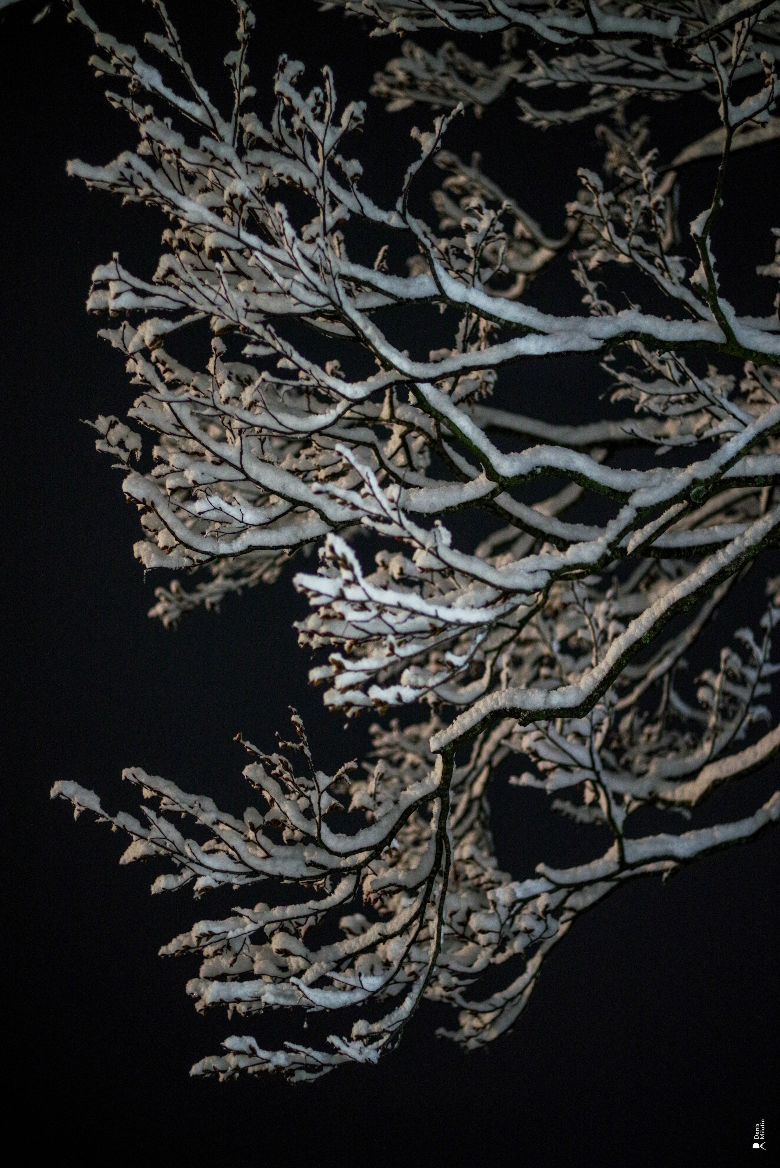 Ночь в Менджи. Портретный фотограф Денис Милютин