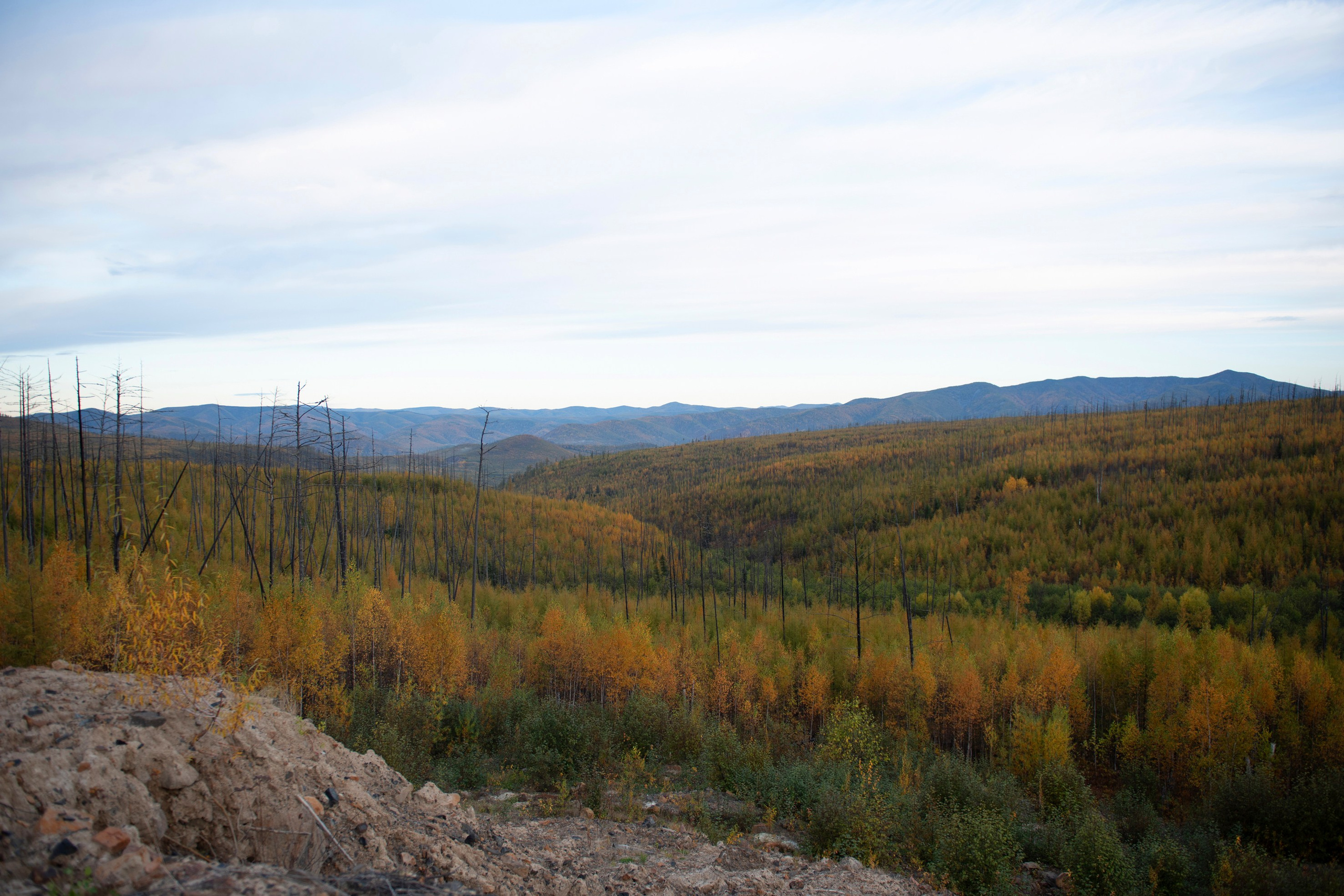 Природа Хабаровского края. Команда фотографов Кристины Ивановой