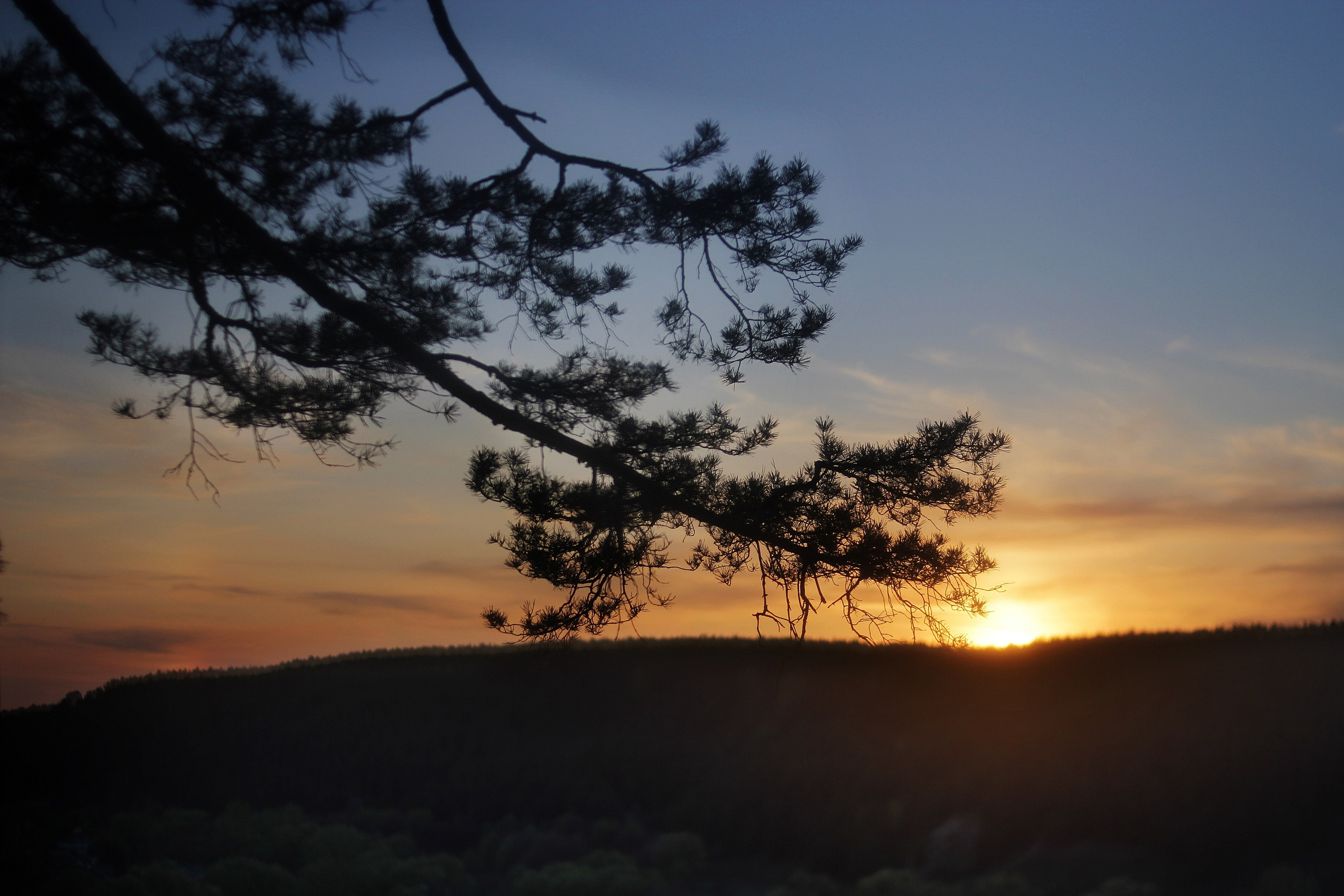 Пейзажный, интерьерный, архитектурный  фотограф Москва