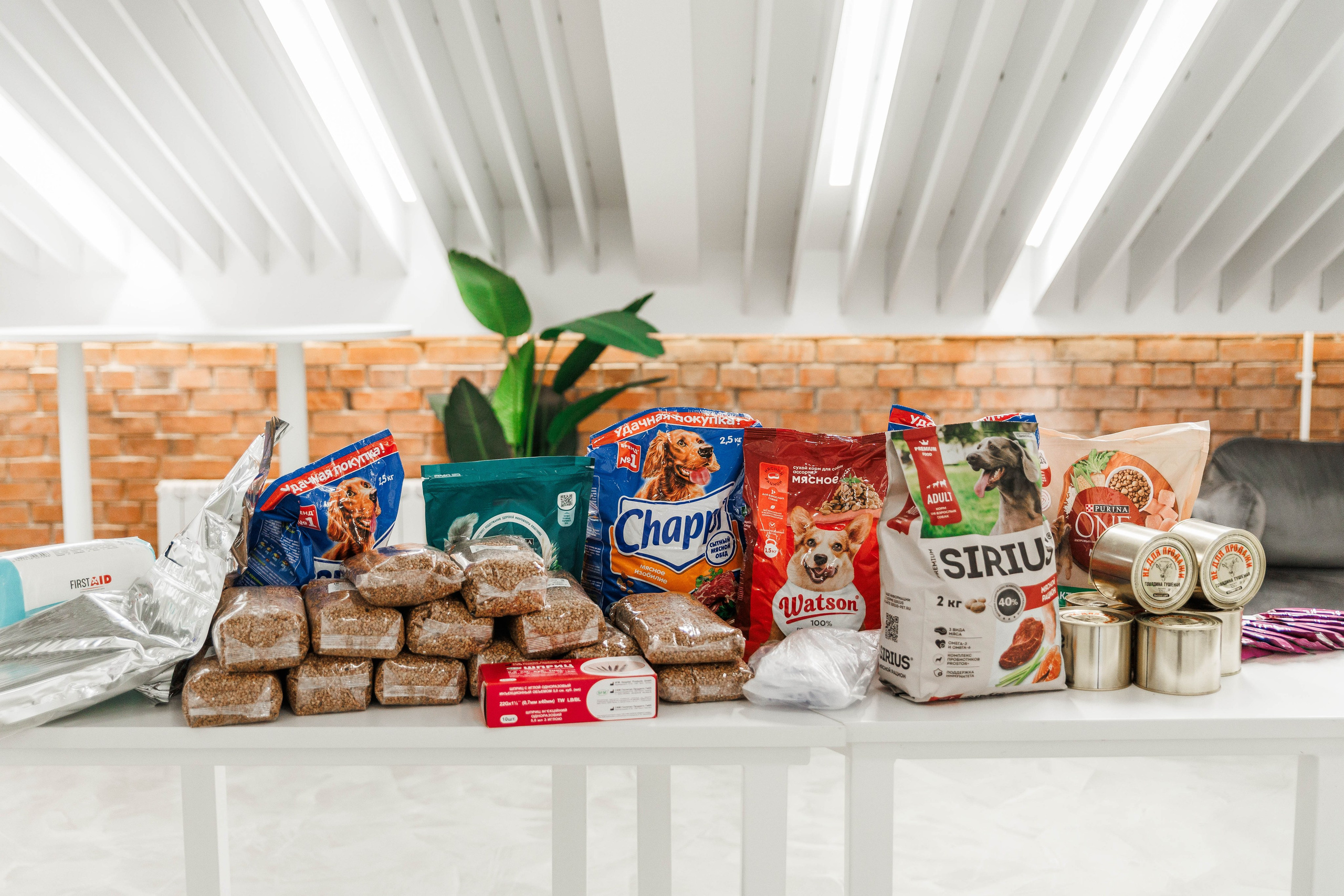 ЖЕНСКОЕ ЛИДЕРСТВО. Фотограф Нижний Новгород Игнатьева Виктория