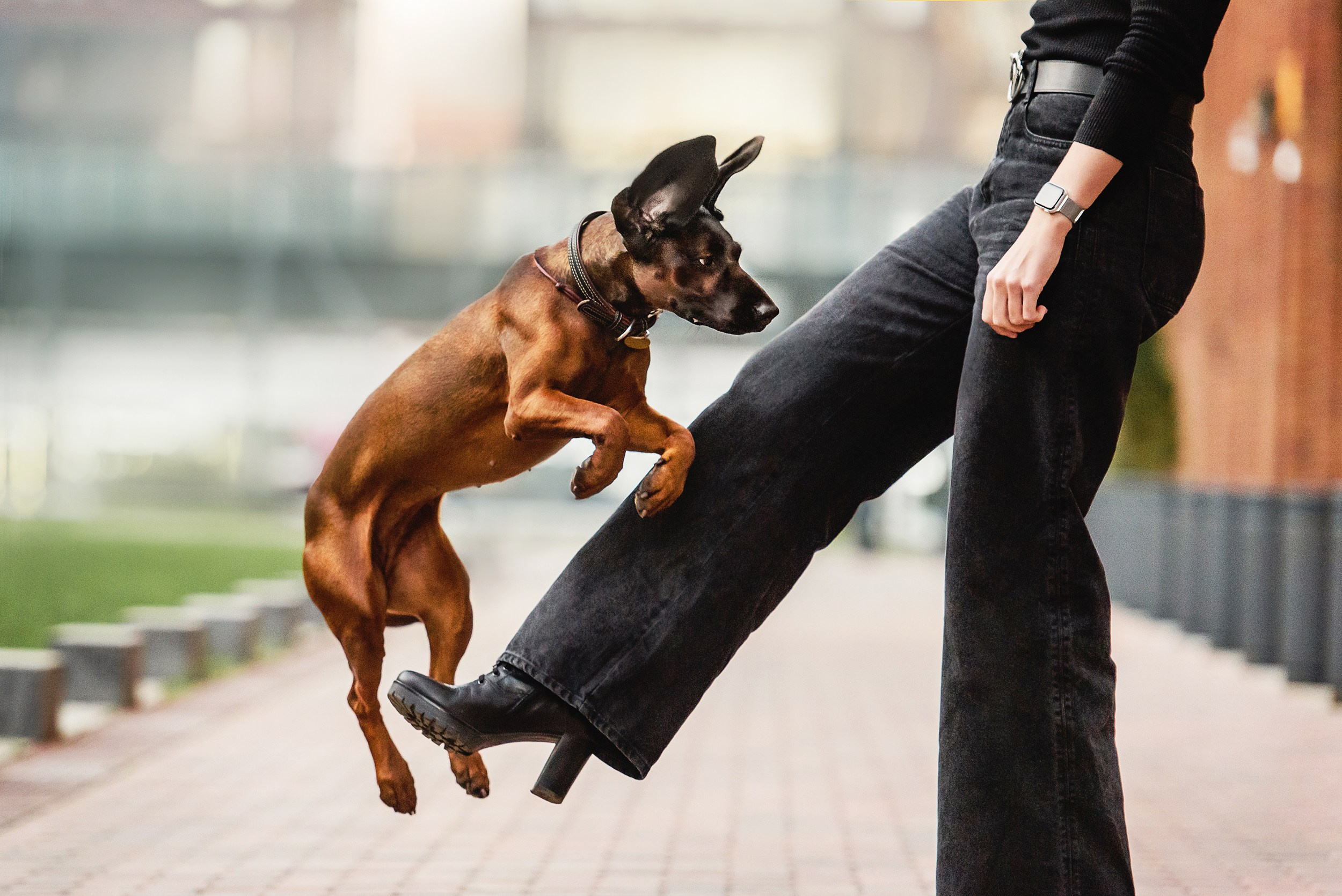 Катя, Дима и Дакота. Городская Love Story. Семейный Фотограф в Москве Ирина Хохлова