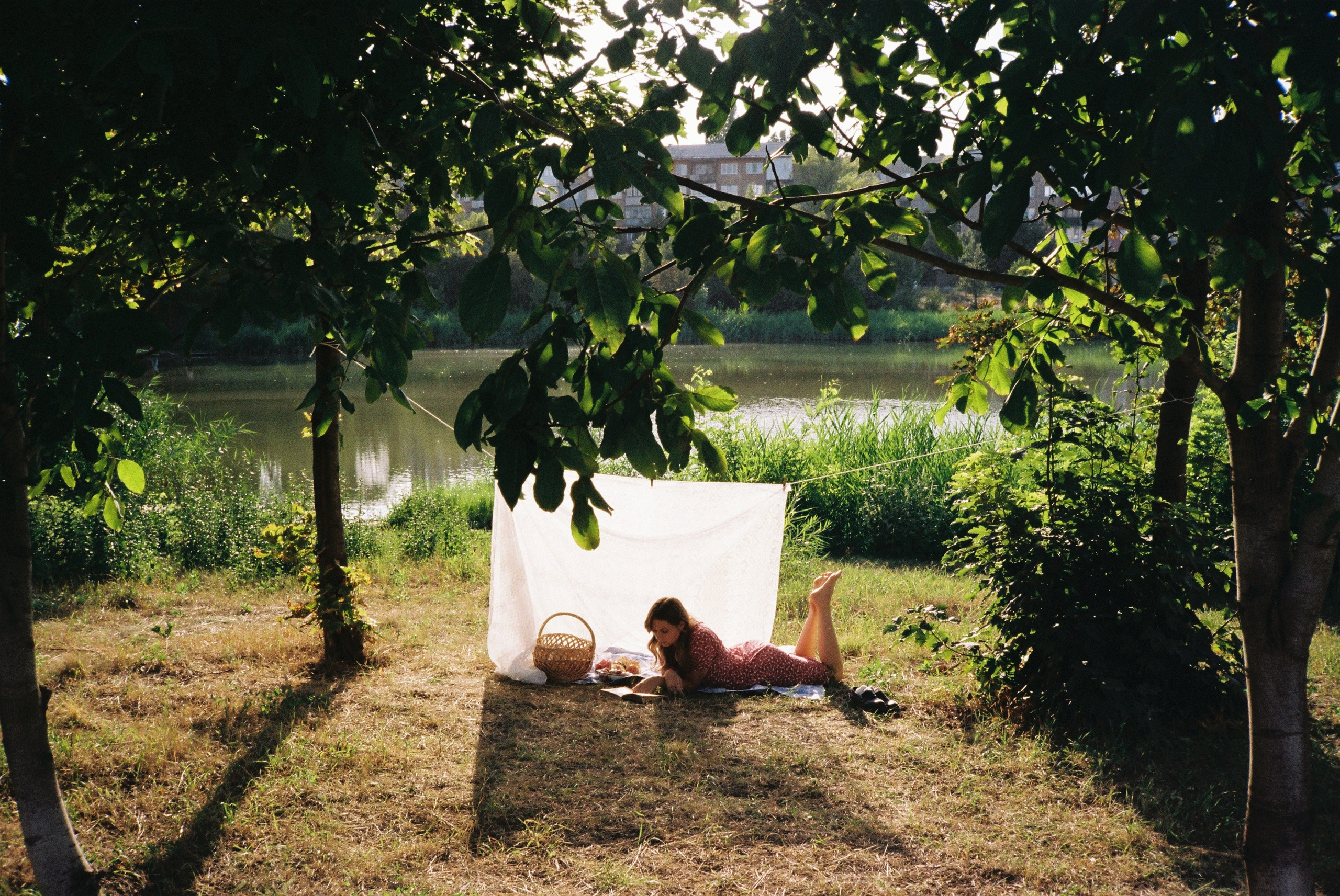 Пикник. • Фотограф Александра Светозар Алчевск •