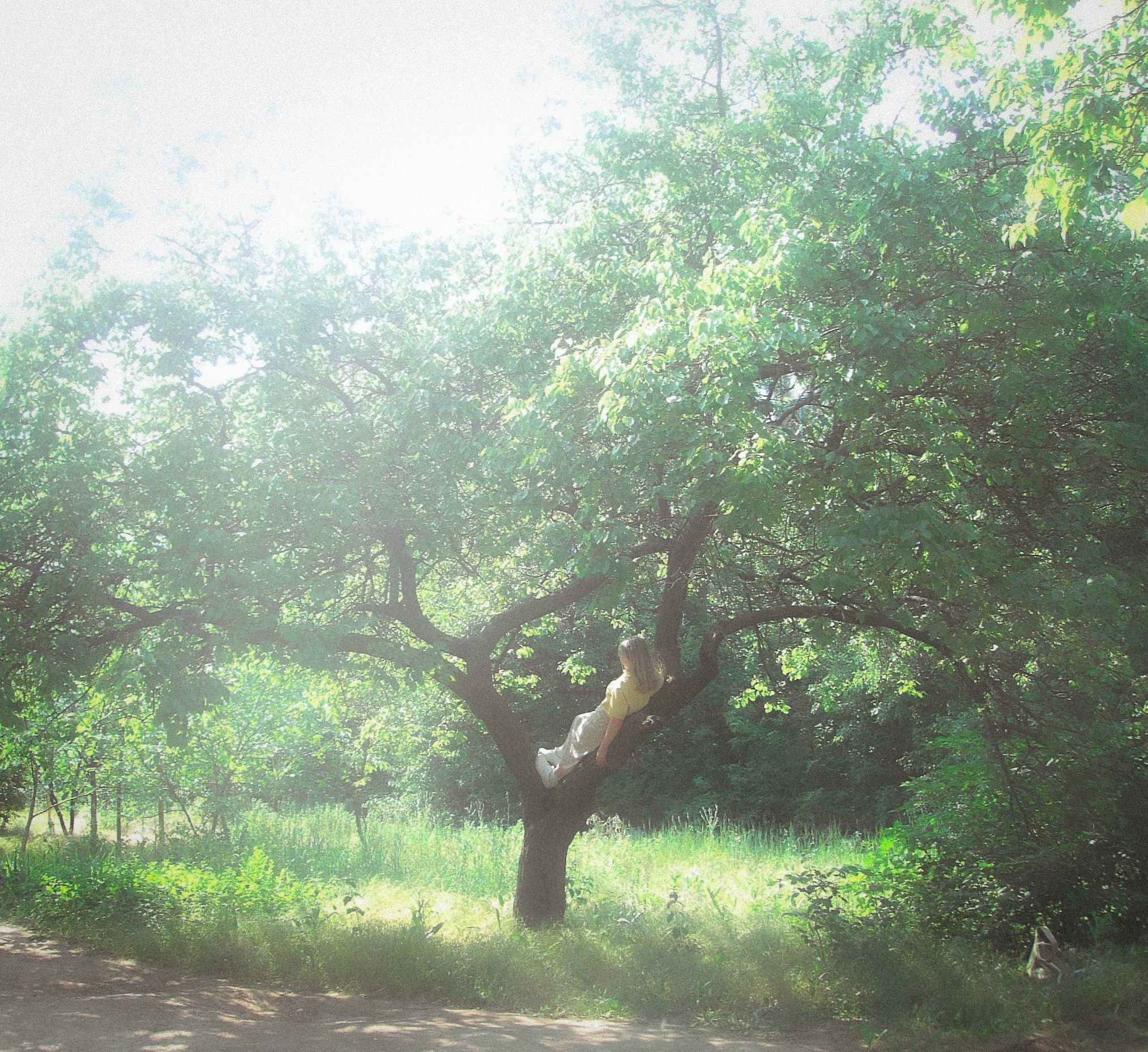 Летний сон. • Фотограф Александра Светозар Алчевск •