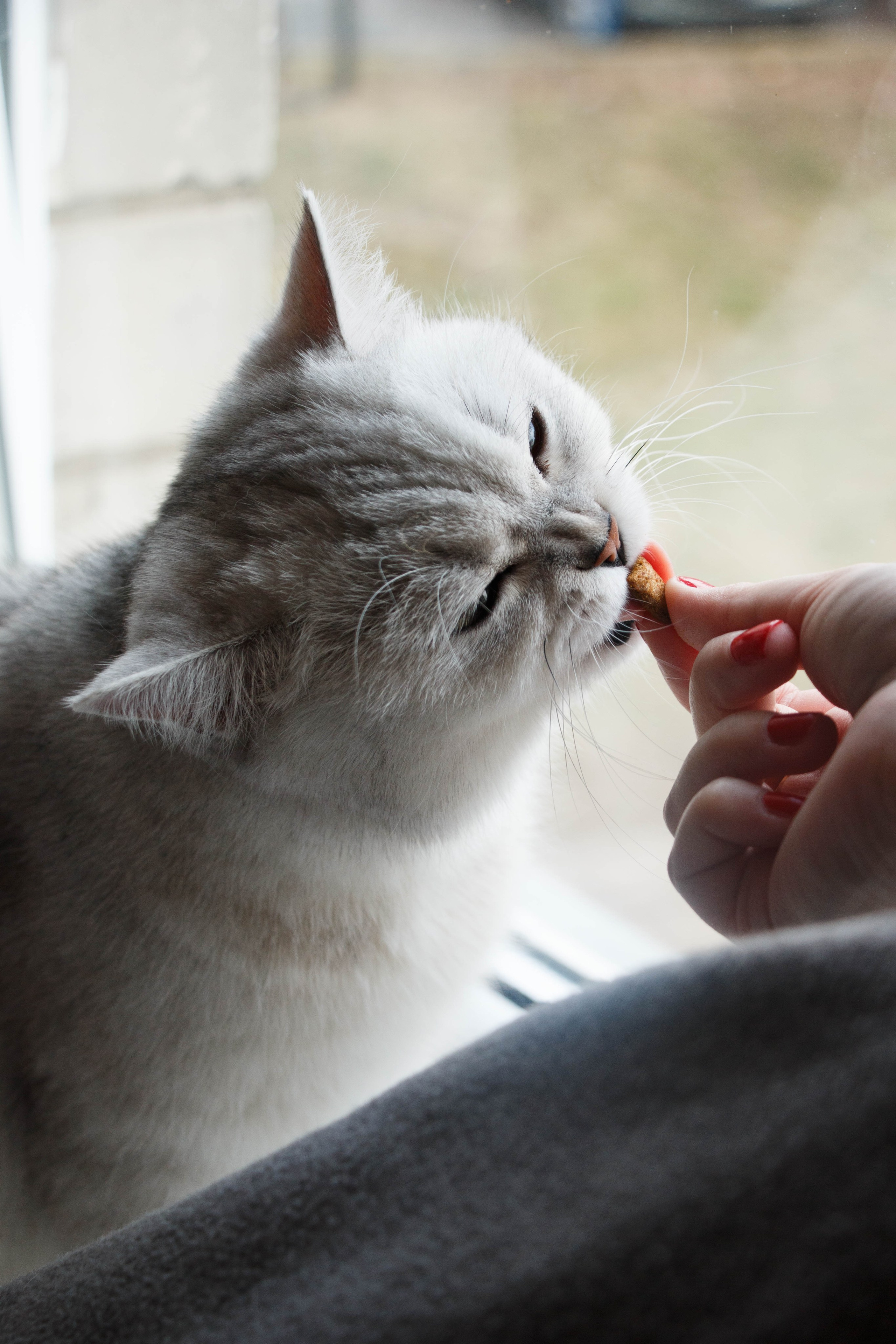NASTYA & KITTI. Бережно сохраняю ваши чувства и истории на своих фотографиях