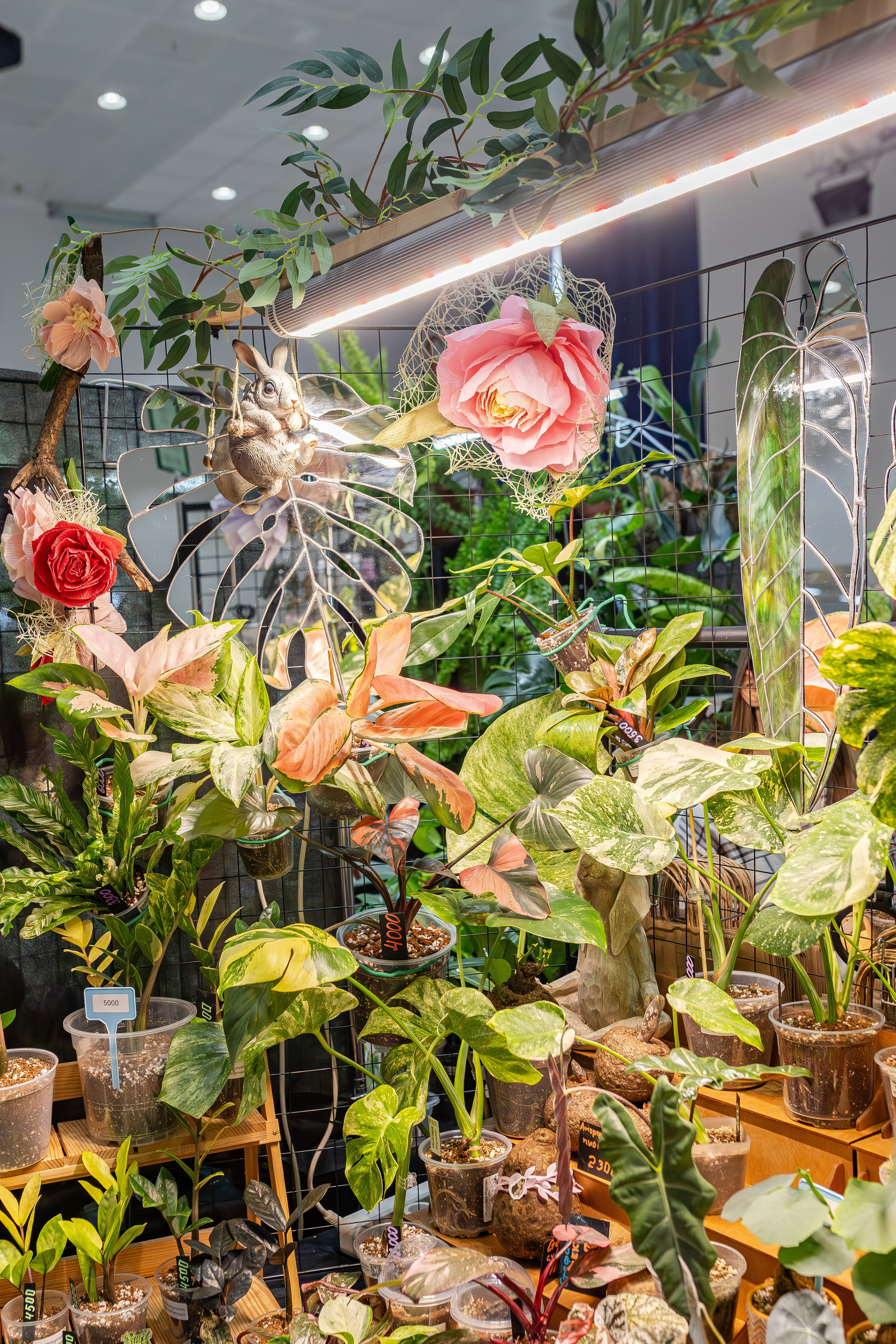 Монстериум апрель 2026. Александра Куликова фотограф, Москва