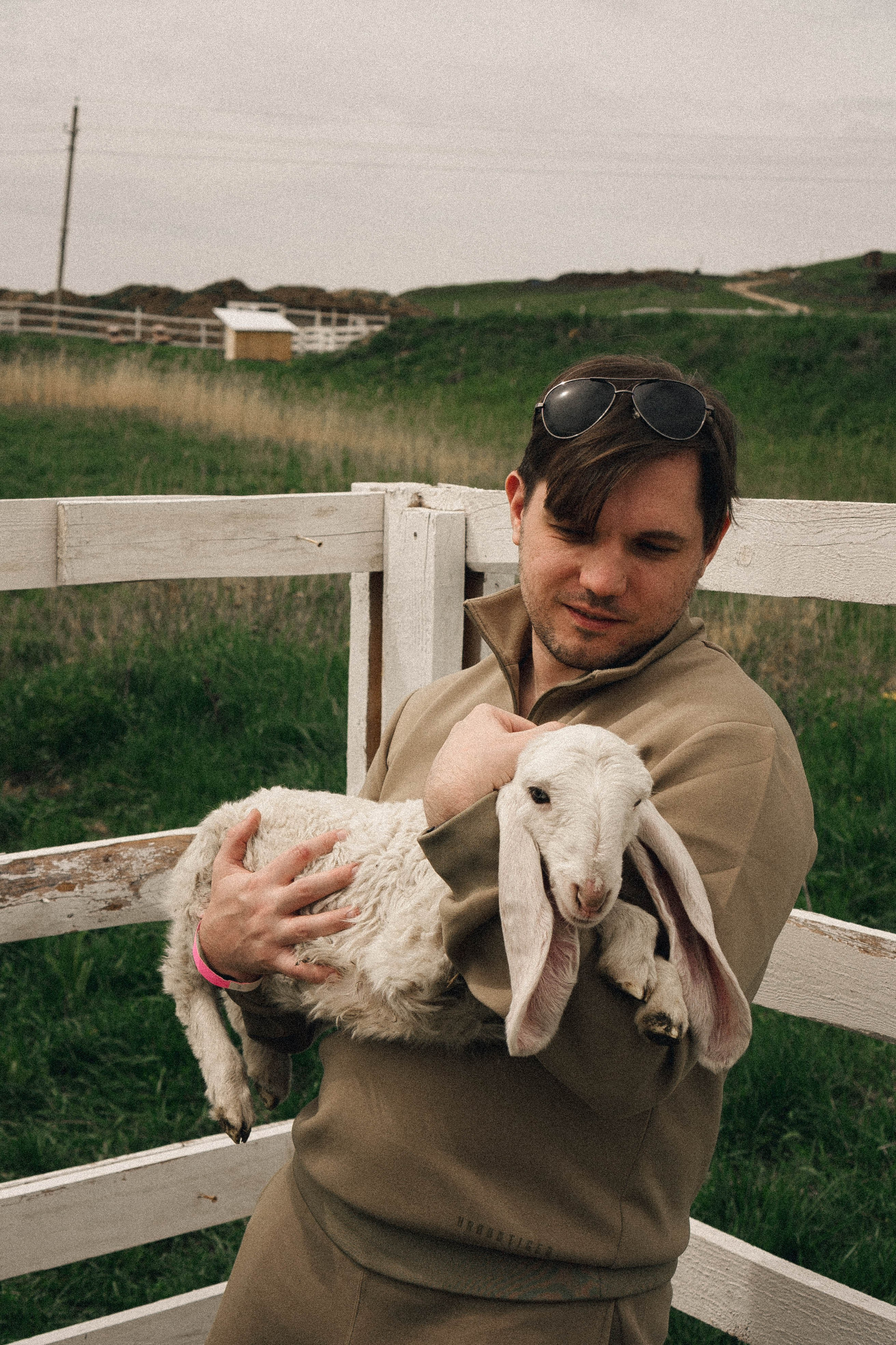Ферма Альпак. Профессиональный фотограф, Санкт-Петербург — Виктория Богомолова