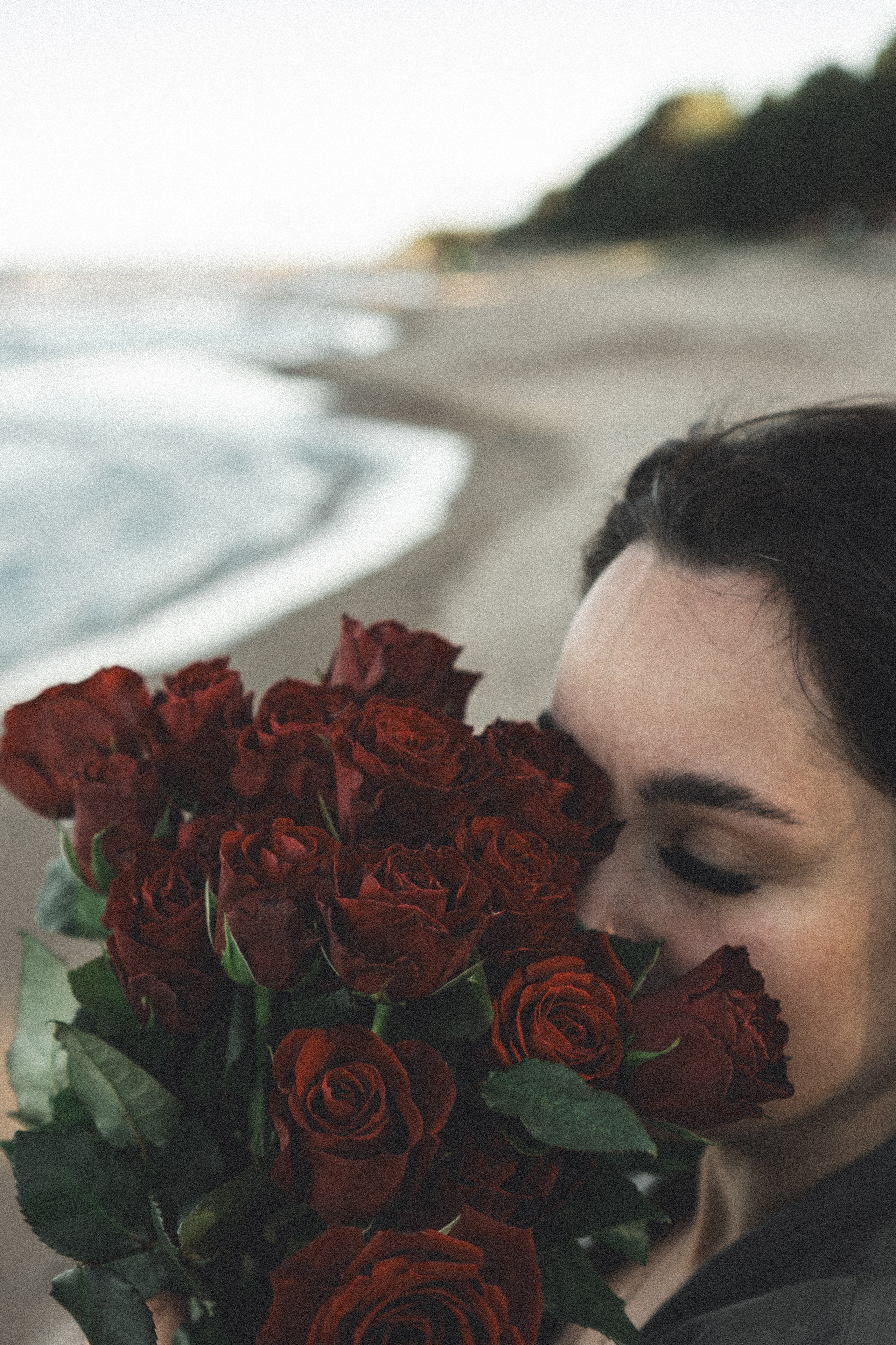 Розы. Профессиональный фотограф, Санкт-Петербург — Виктория Богомолова