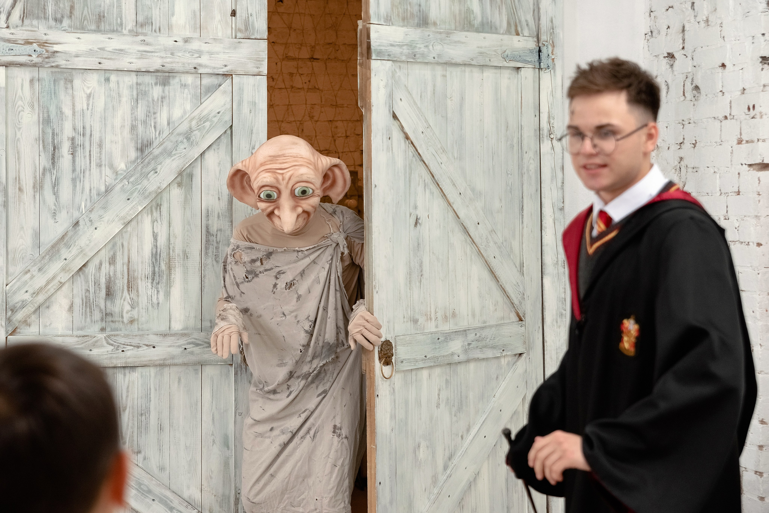 День Рождение в стиле Гарри Поттера