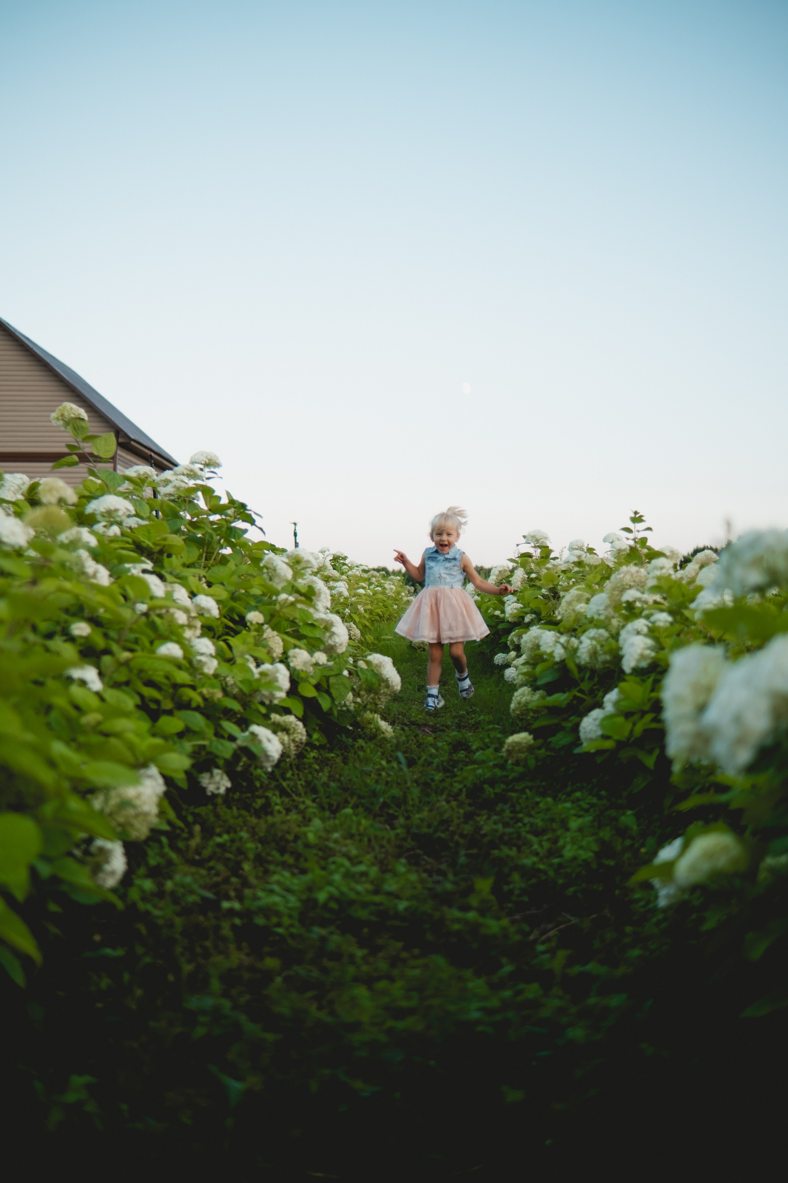 Семейная съемка в лованде. Nattie.ph