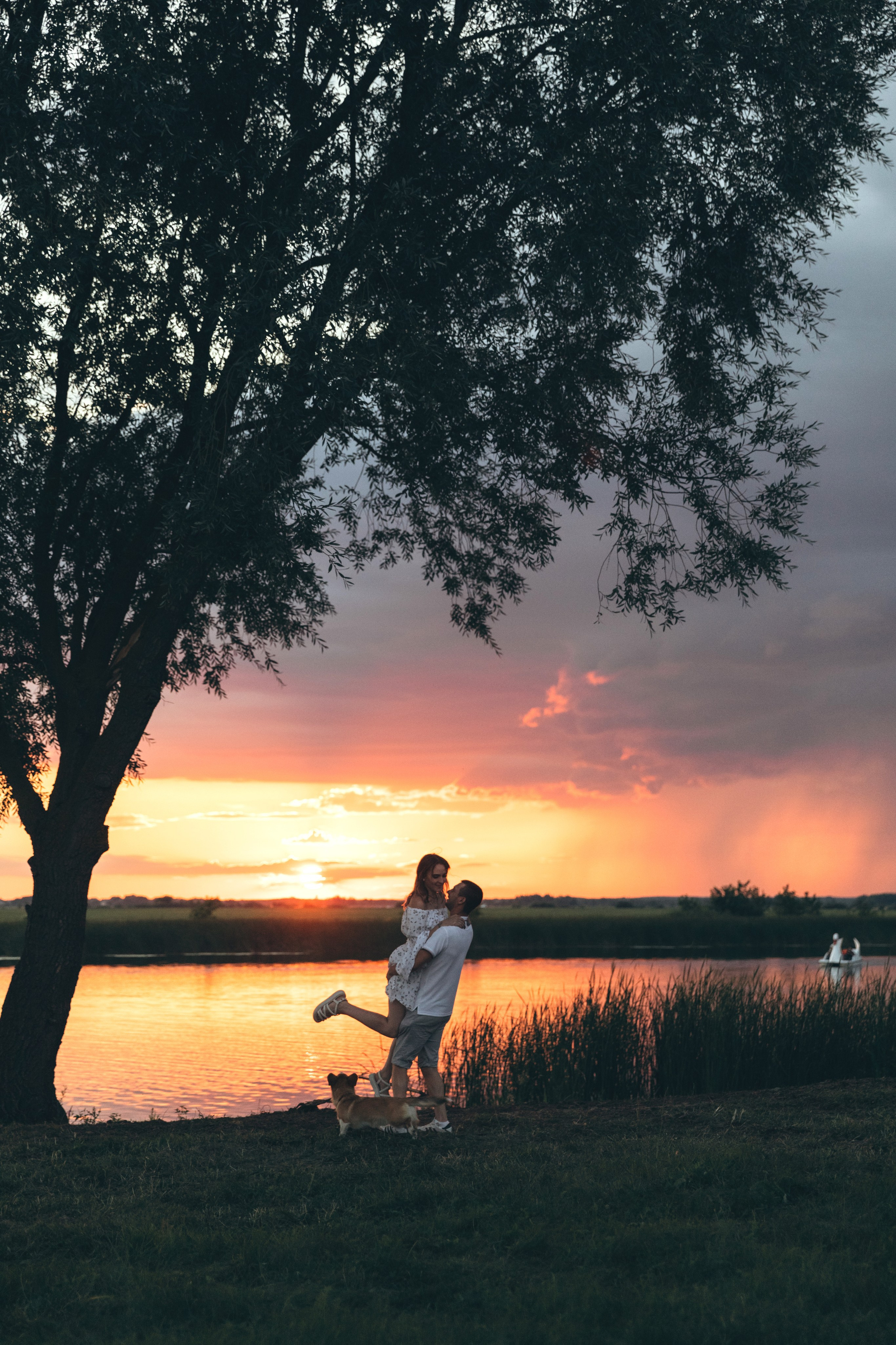 4 лапы, 2 пары ног и одно сердечко на троих ❤. Фотограф Анастасия Романова Рязань