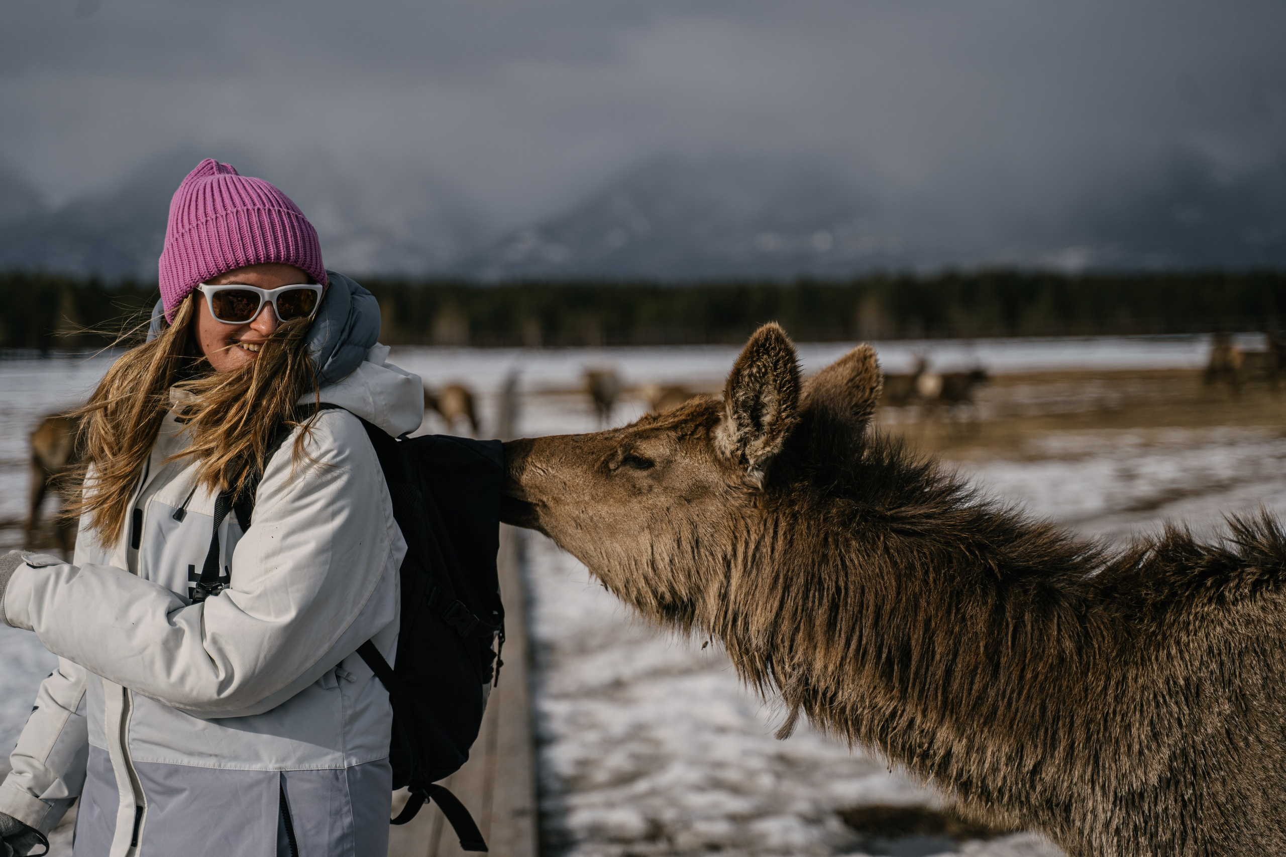 Бурятия, Аршан 2024. Фотограф Ольга Пучкова