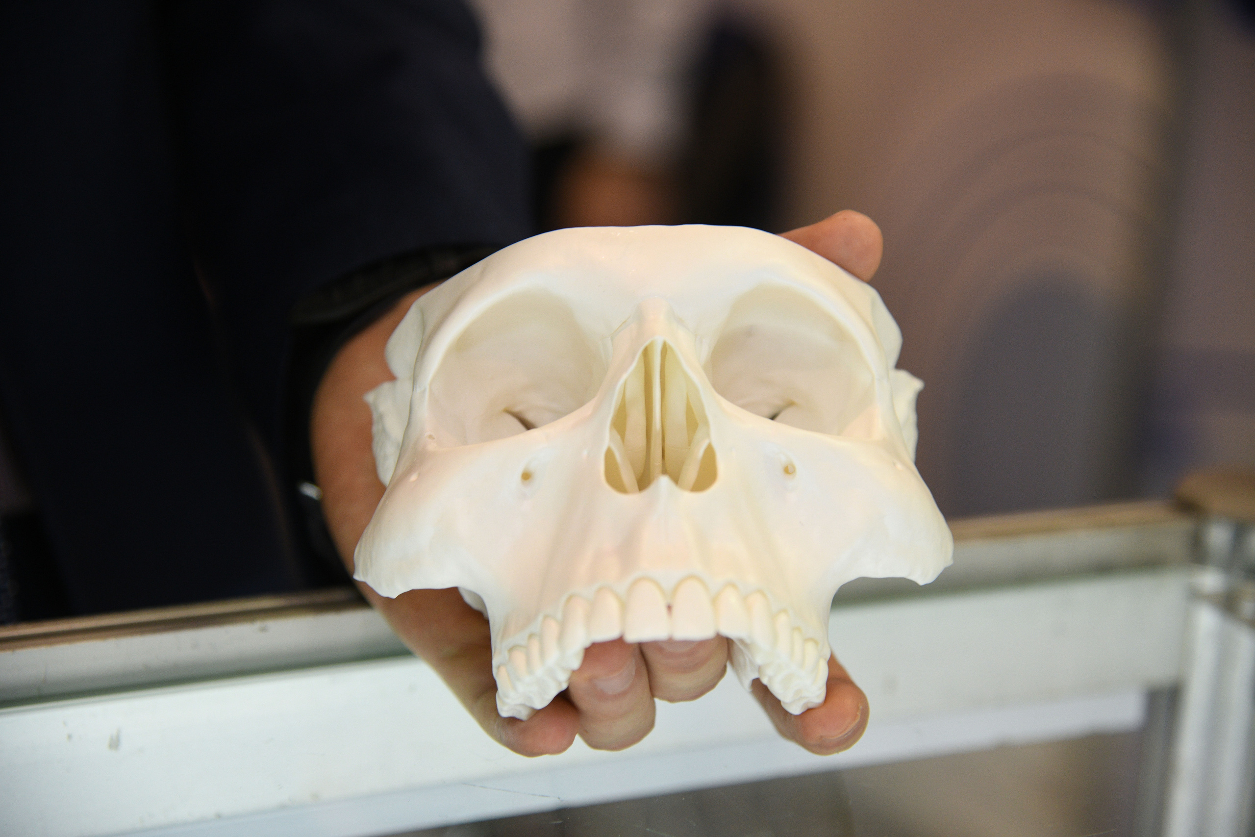 Открытие стоматологической выставки (Экспо Волга). Свадебный и семейный фотограф в Самаре Марина Алексеева