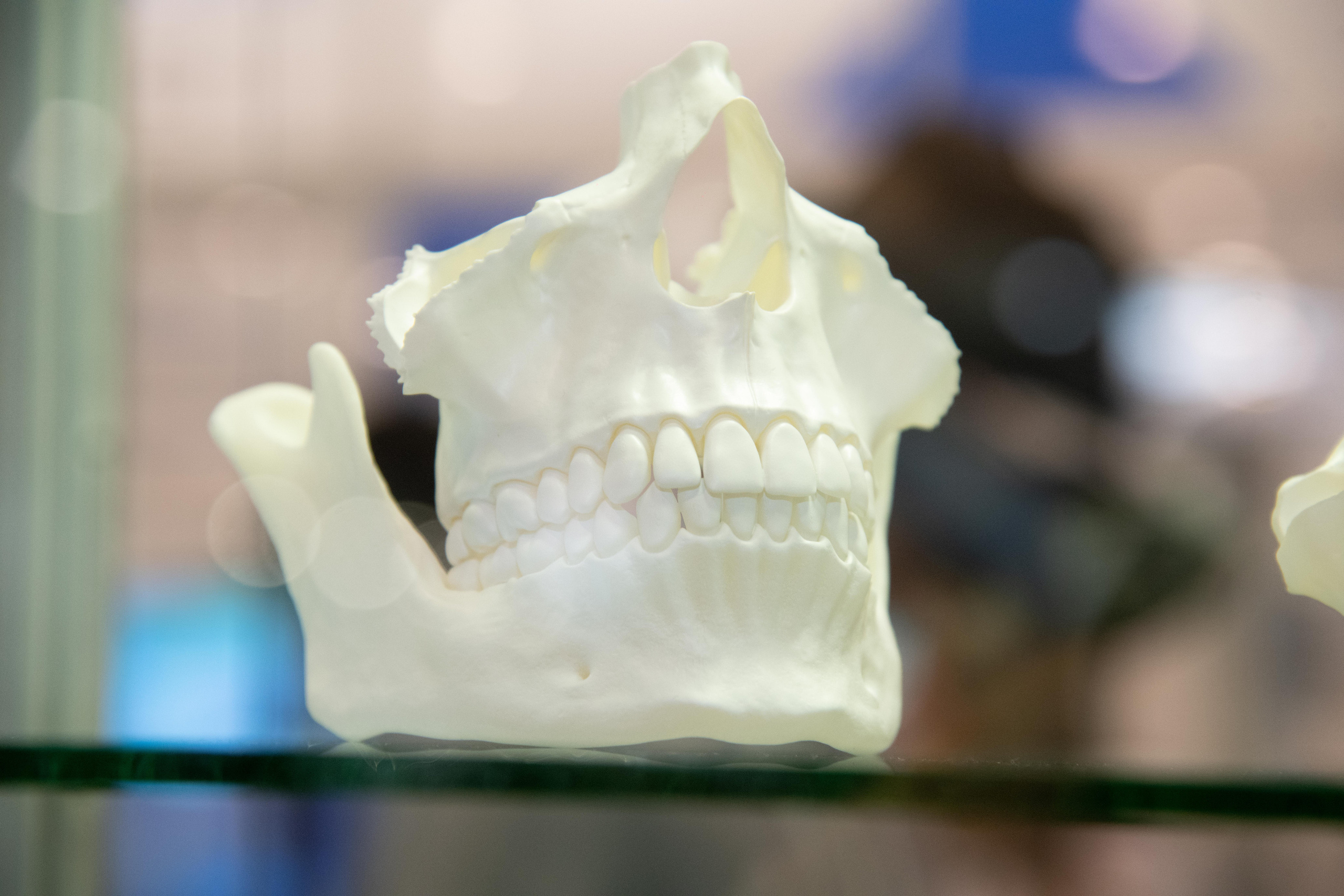 Открытие стоматологической выставки (Экспо Волга). Свадебный и семейный фотограф в Самаре Марина Алексеева