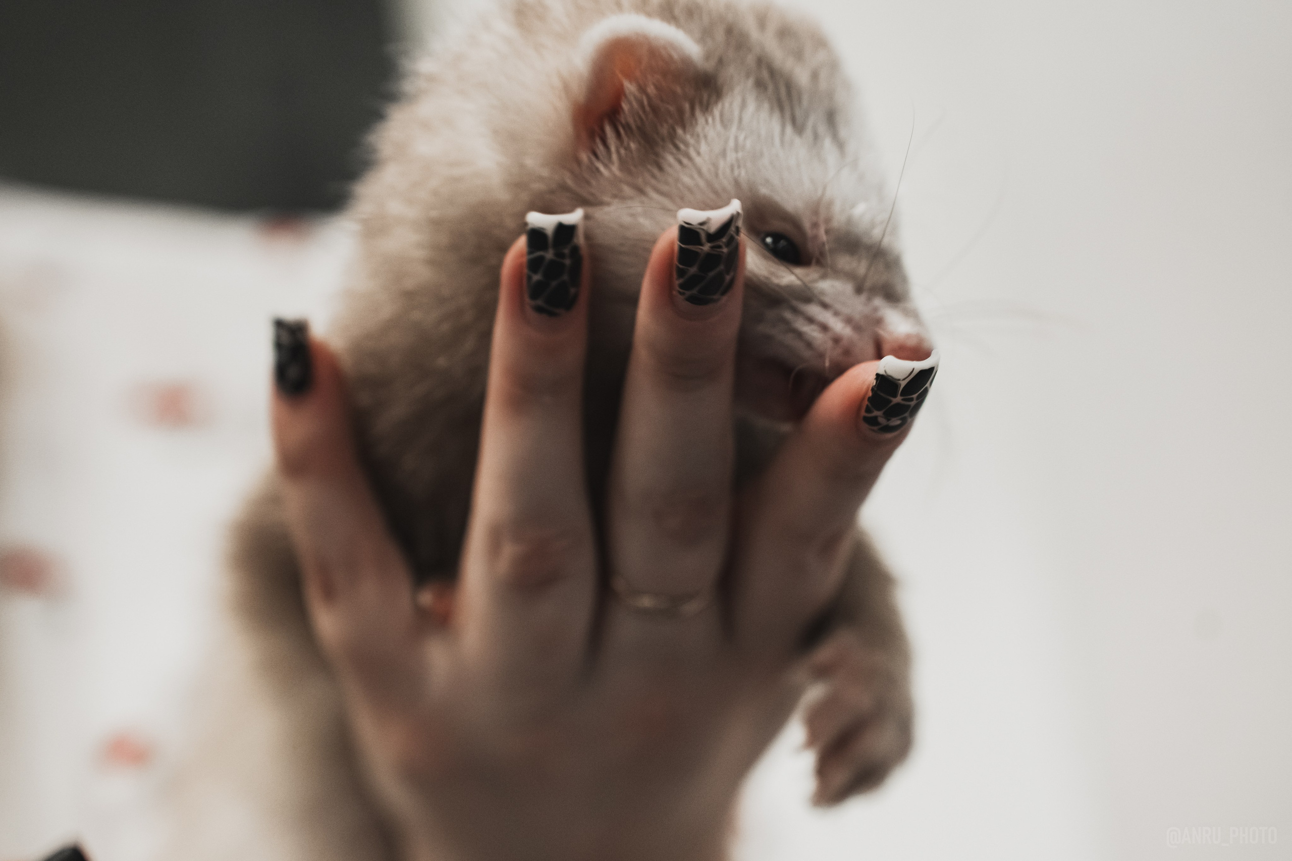 Fox Family fest. Репортажный фотограф Анастасия Рубцова