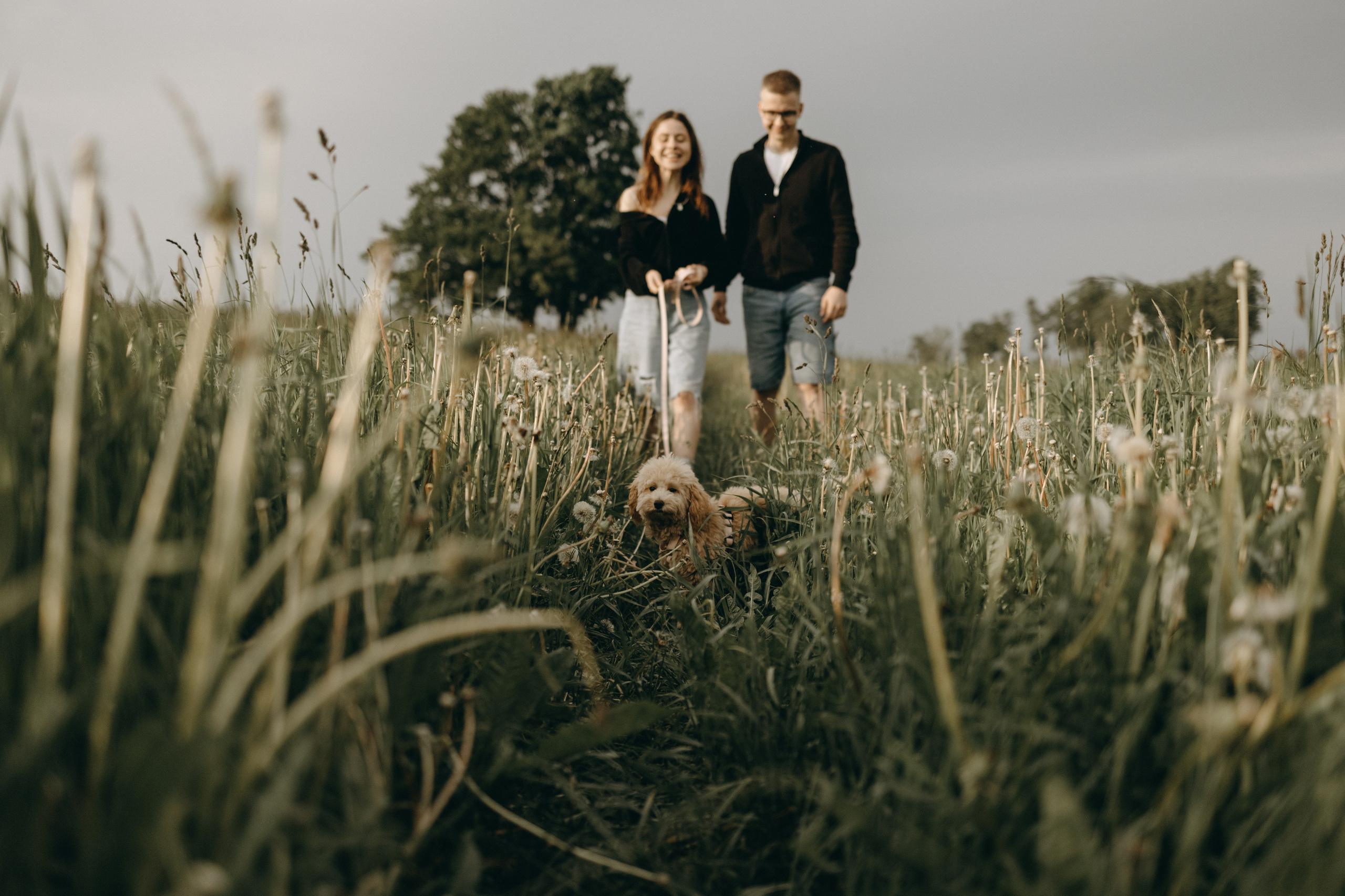 Мия и ее семья. Фотограф — Анималист | Санкт-Петербург