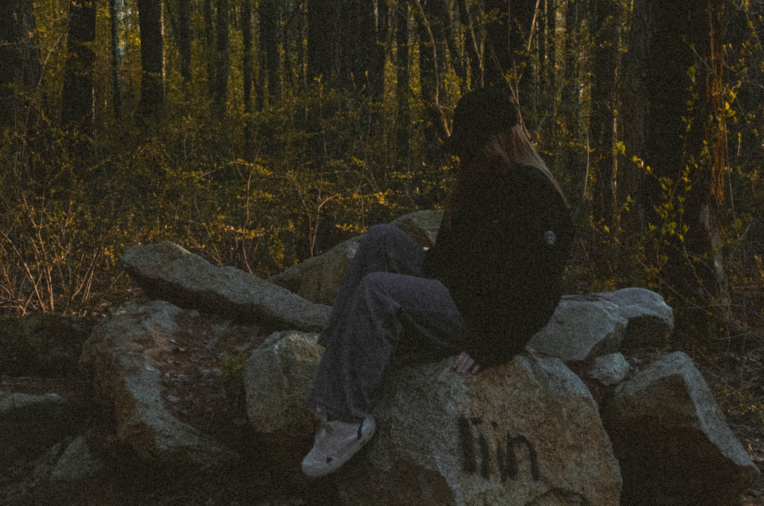 «Без названия»