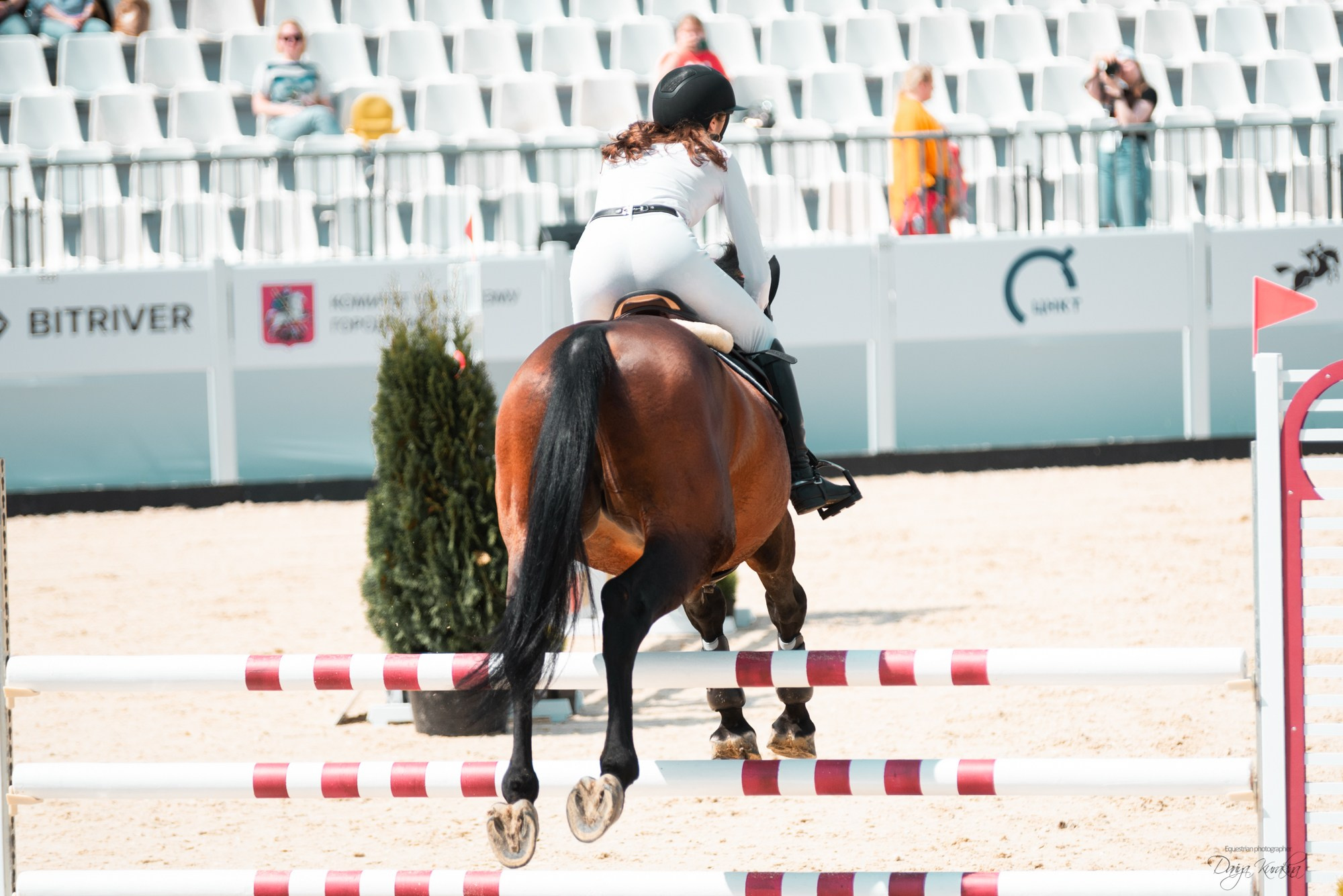 BITRIVER CUP 2023. Конный фотограф Куракина Дарья • Фотосессии с лошадьми